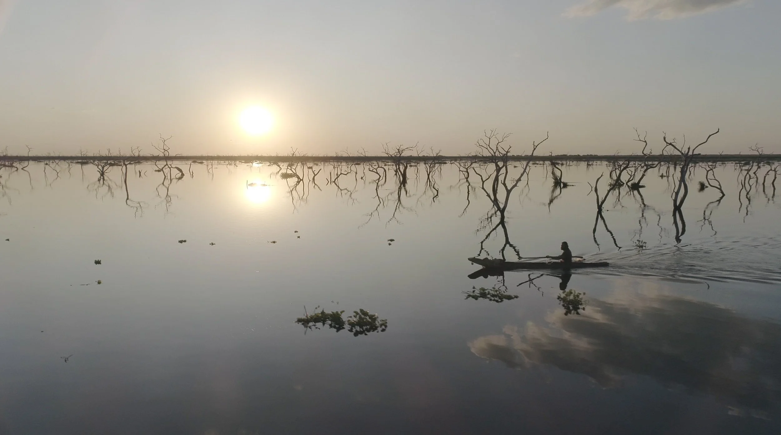 Screenshot 2024-01-27 at 12.49.02.jpg