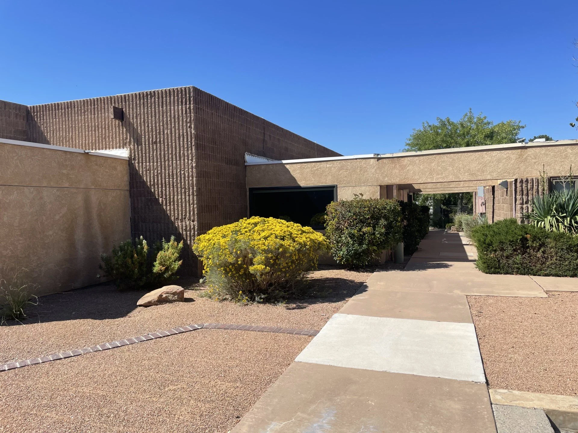 Modern building with beige and brown exterior walls, landscaped front yard with yellow blooming bush and various desert plants, pathway leading to entrance, under clear blue sky.