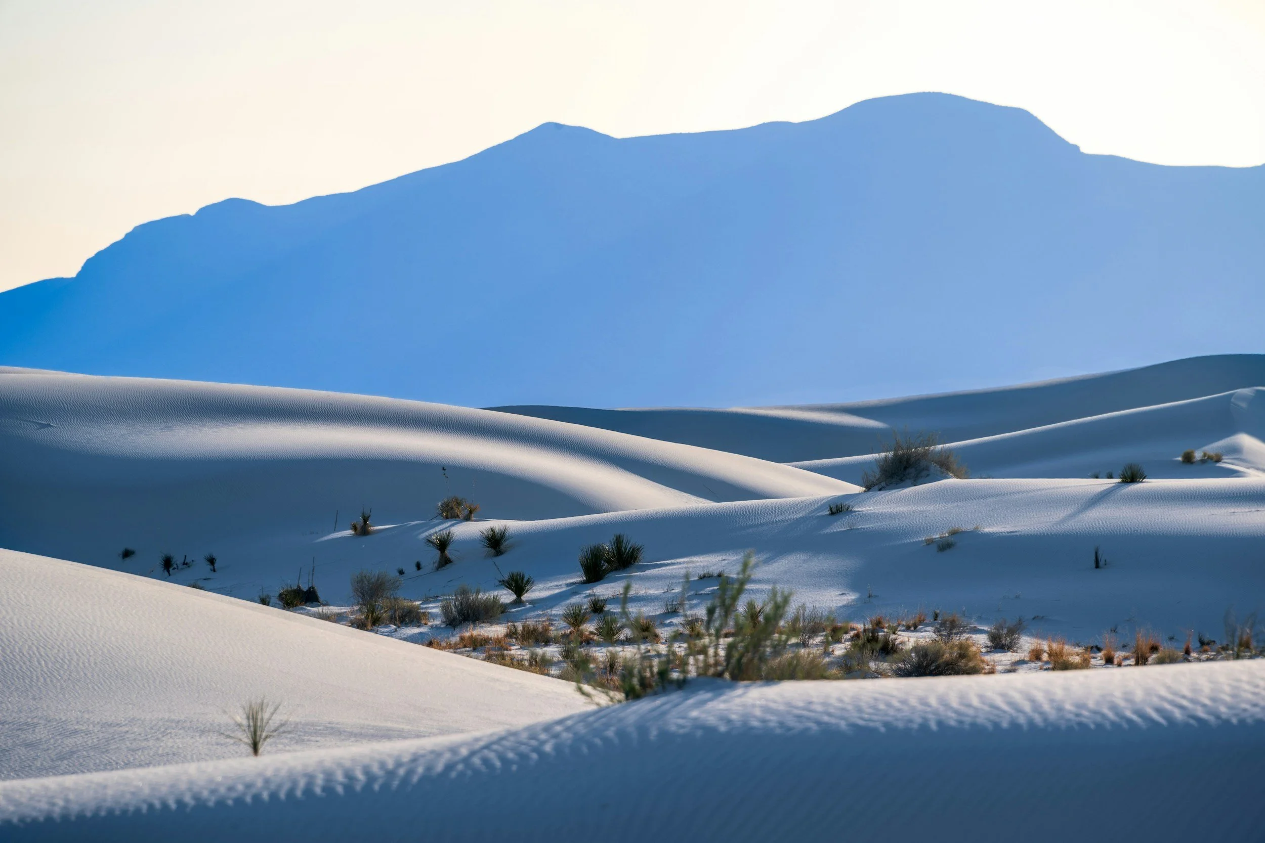 Snow-covered desert landscape with small bushes and distant mountain range under a light sky.