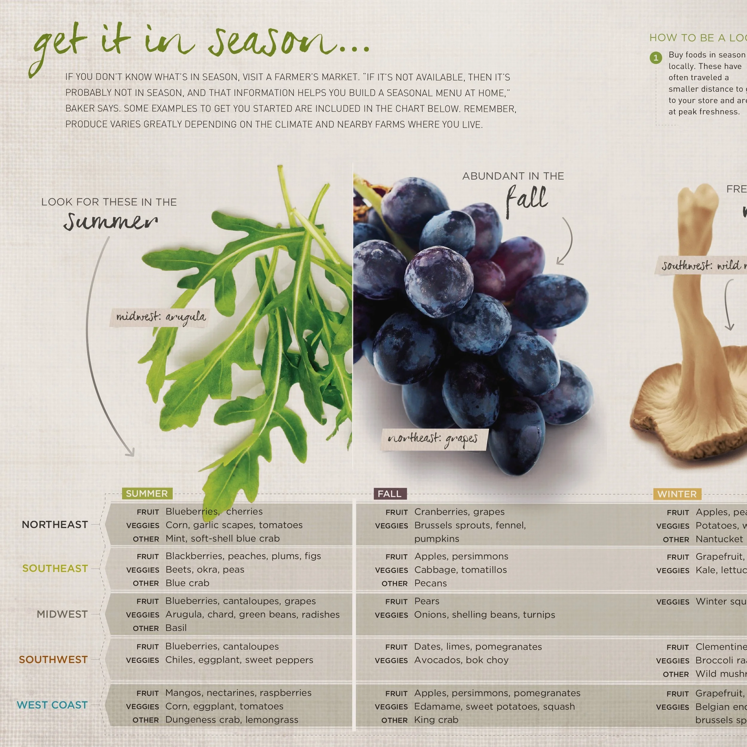 Information + Instructional Design