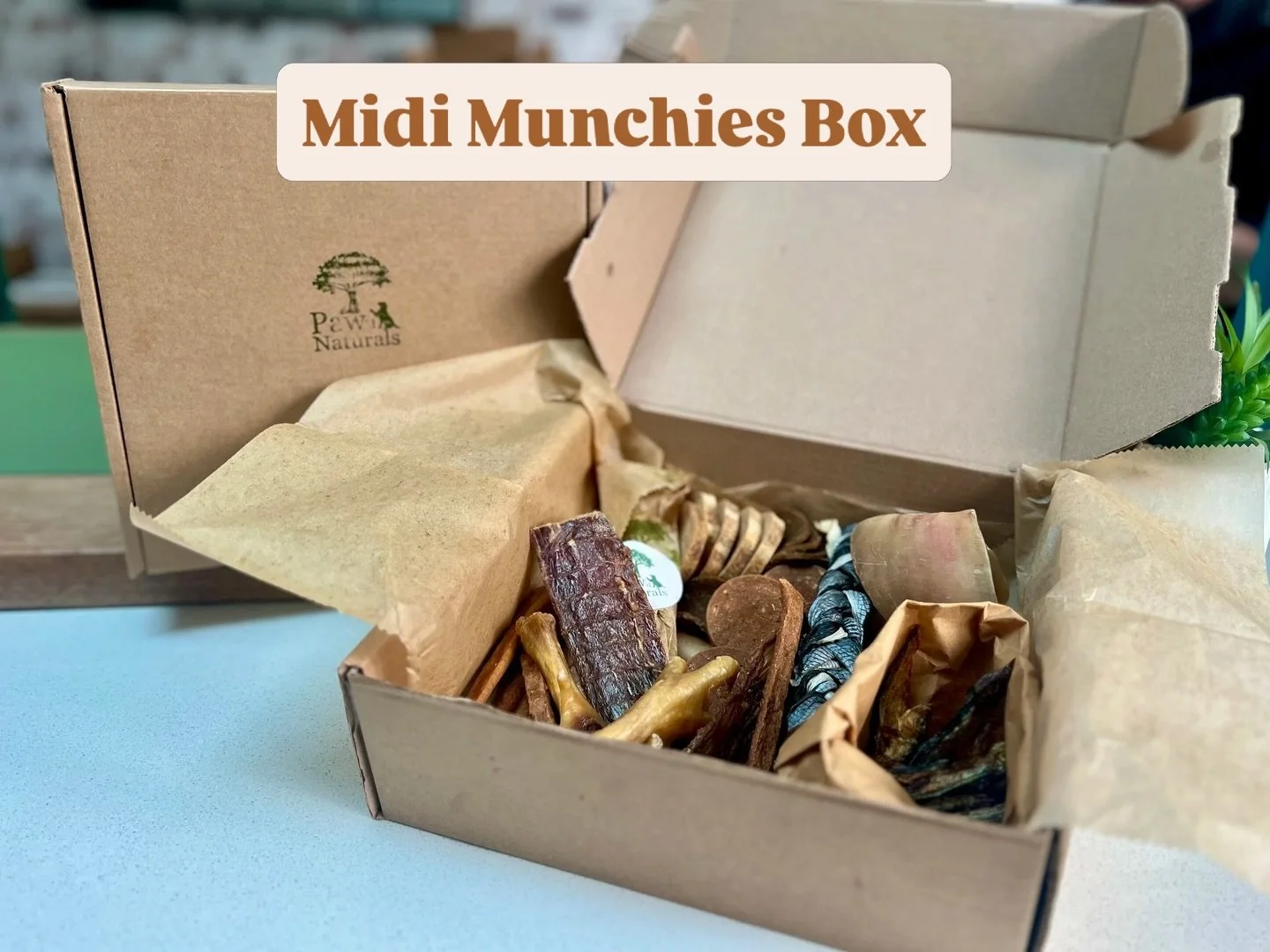 Midi Munchies Box - A box with a lot of bite for small to medium dogs 🐾

#dogtreats #dog #doglove 

@ramblingtailsdogwalker @walk.ies4paws @thedognanny_leighonsea @pawdnaturals