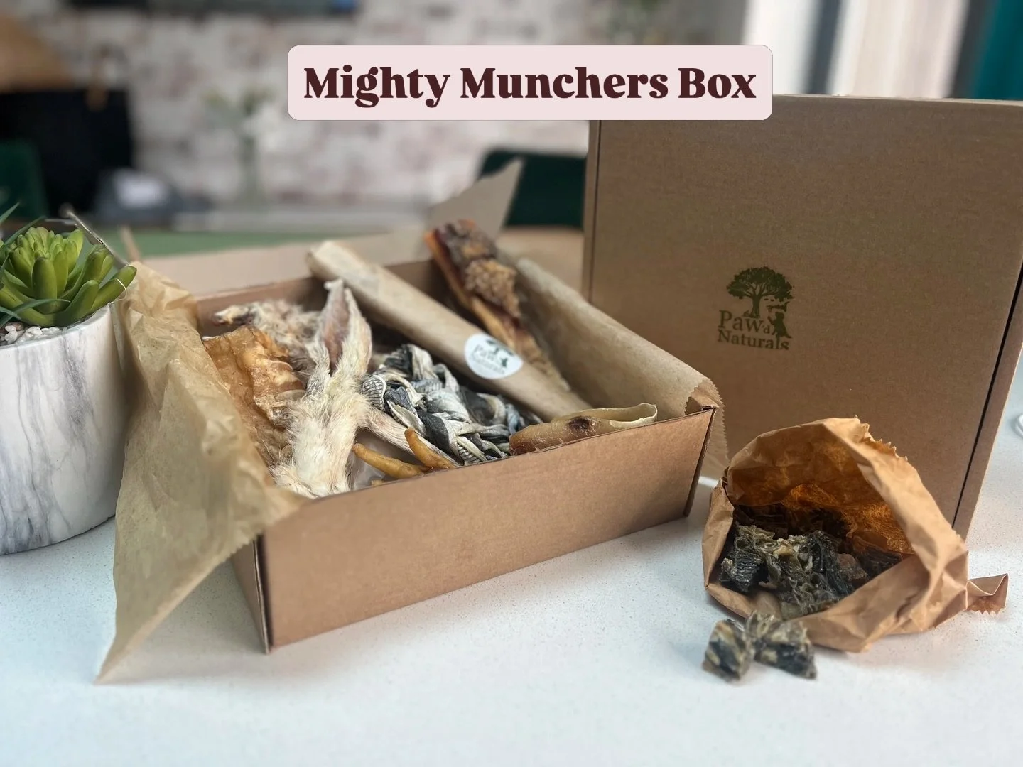 Mighty Munchers Box - A mighty box for medium to large dogs 🐾

#dogtreats #dog #doglove 

@ramblingtailsdogwalker @walk.ies4paws @thedognanny_leighonsea @pawdnaturals