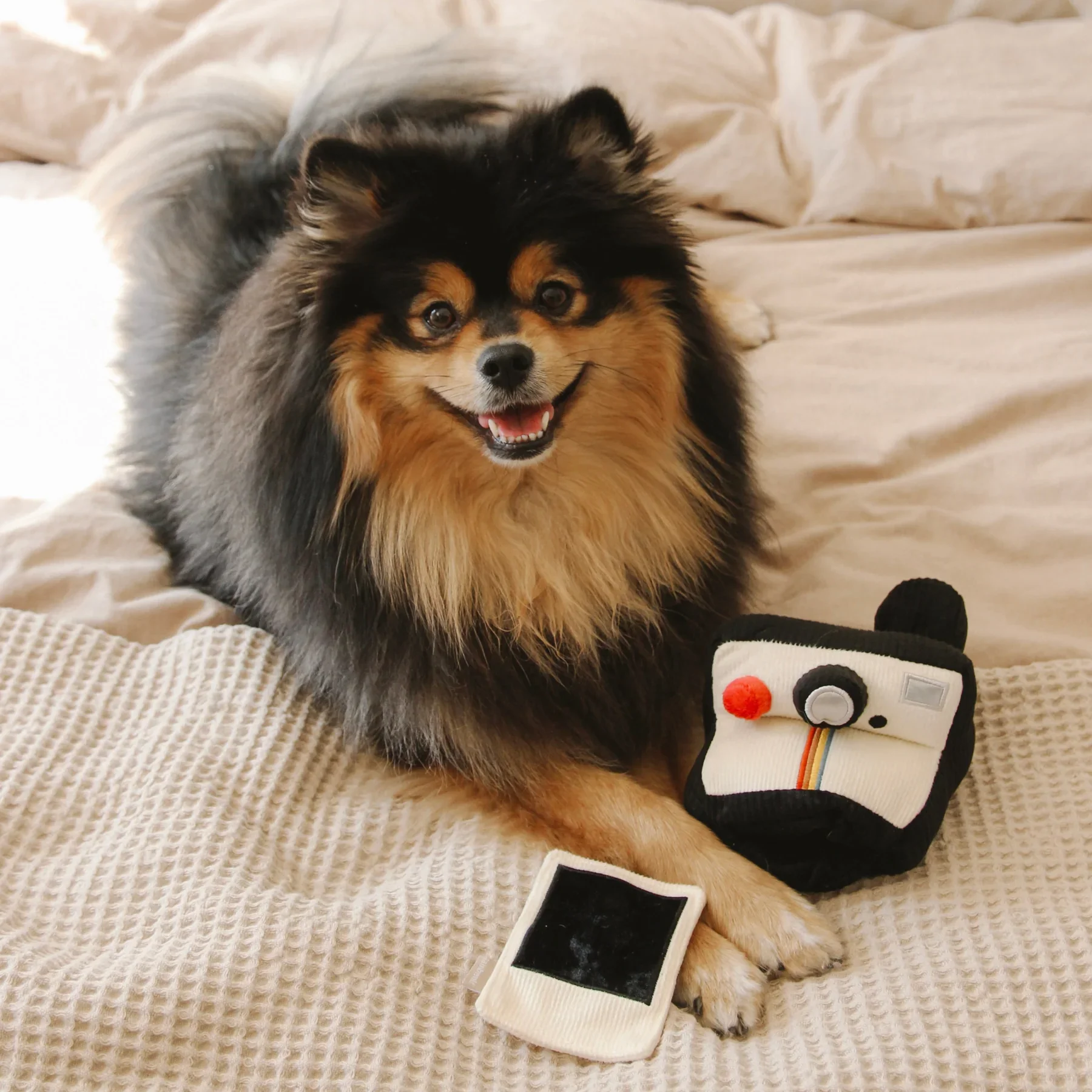 Instant Camera Enrichment Dog Toy by Lambwolf Collective – Snuffle & Treat Puzzle