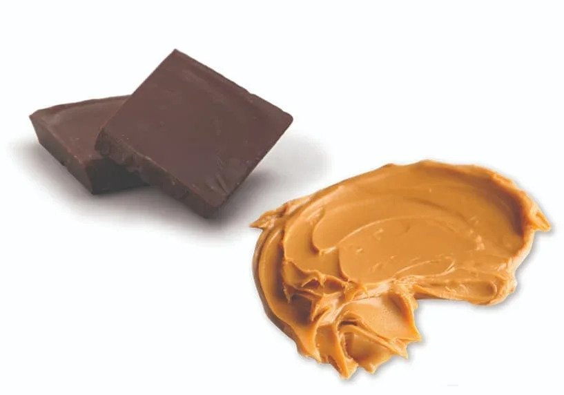 chocolatepieces300dpi_817x572.webp