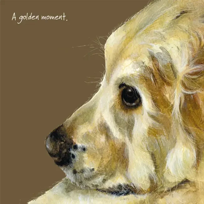 Golden Retriever “A Golden Moment” Greeting Card – Anna Danielle | The Little Dog Laughed