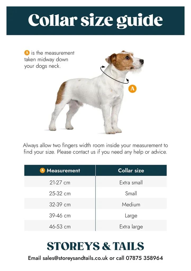Collar_size_guide_1024x1024_0c55c349-fd83-415d-98f6-f2b13793ab03.webp