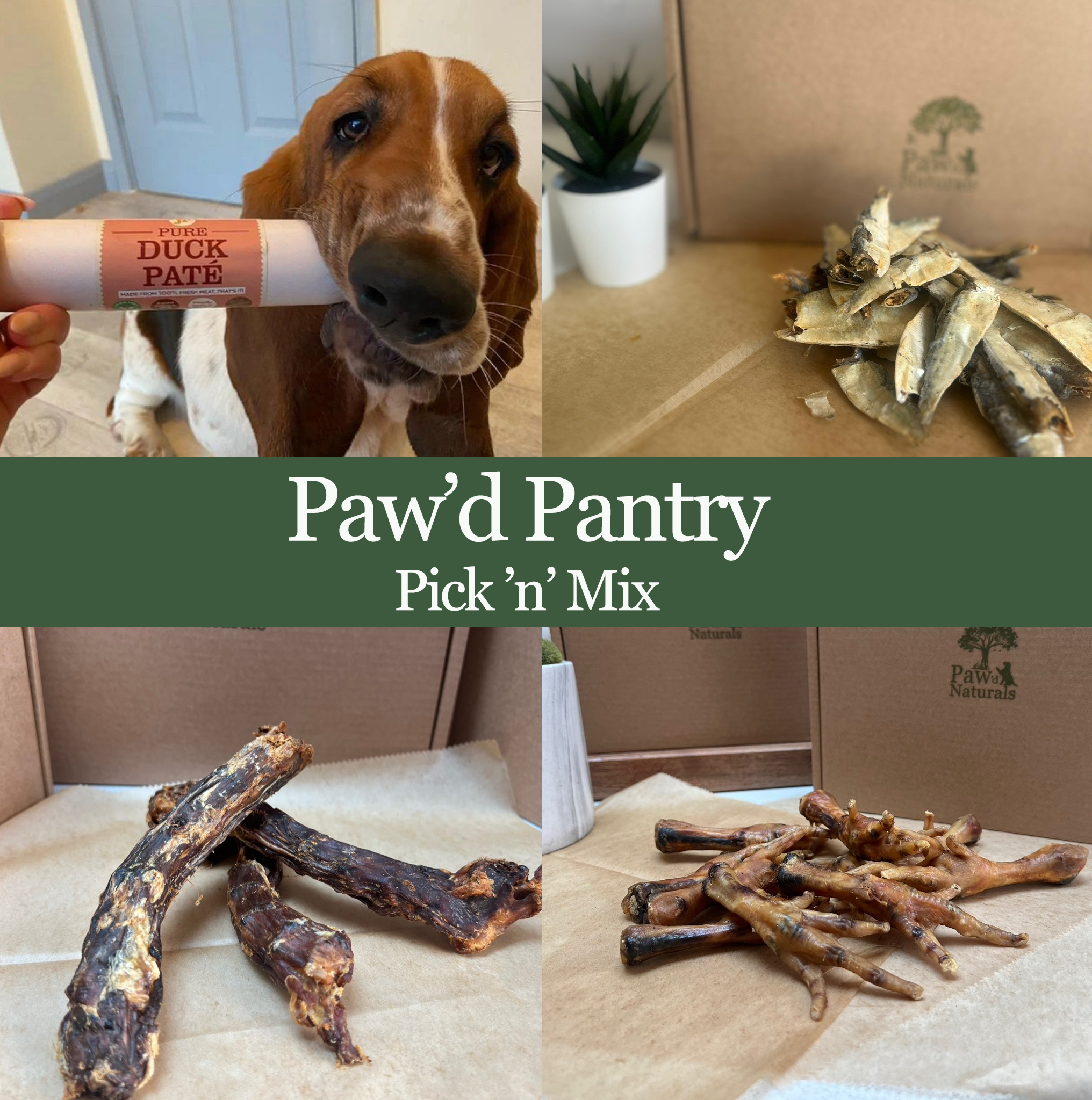 PawdPantry.png