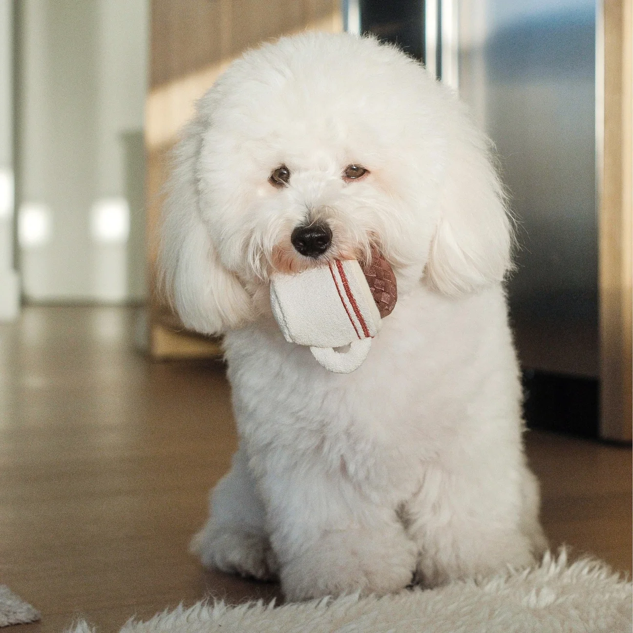 f27f939196f4c645ff5b33e6f3e729002a4171248e1a570768793f00b31a3561 (1).webp