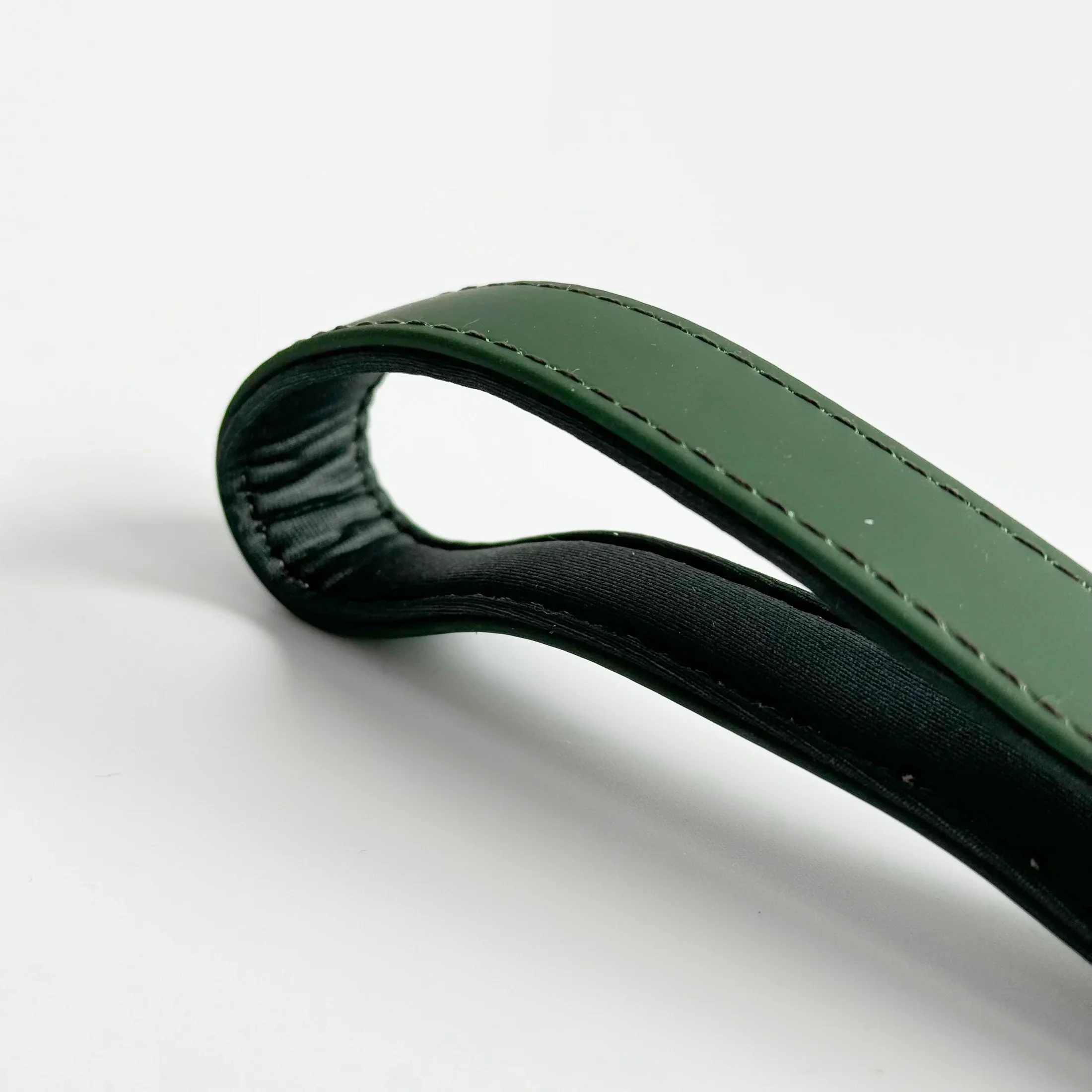 HydroFlexDogLeadEvergreenCloseUp.webp