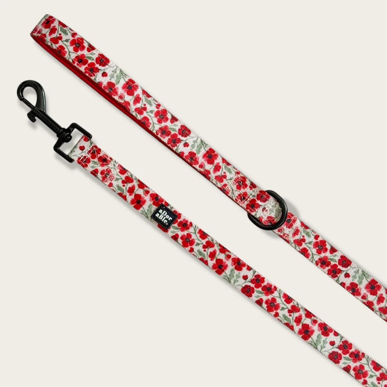 PaintedPoppiesLead.webp