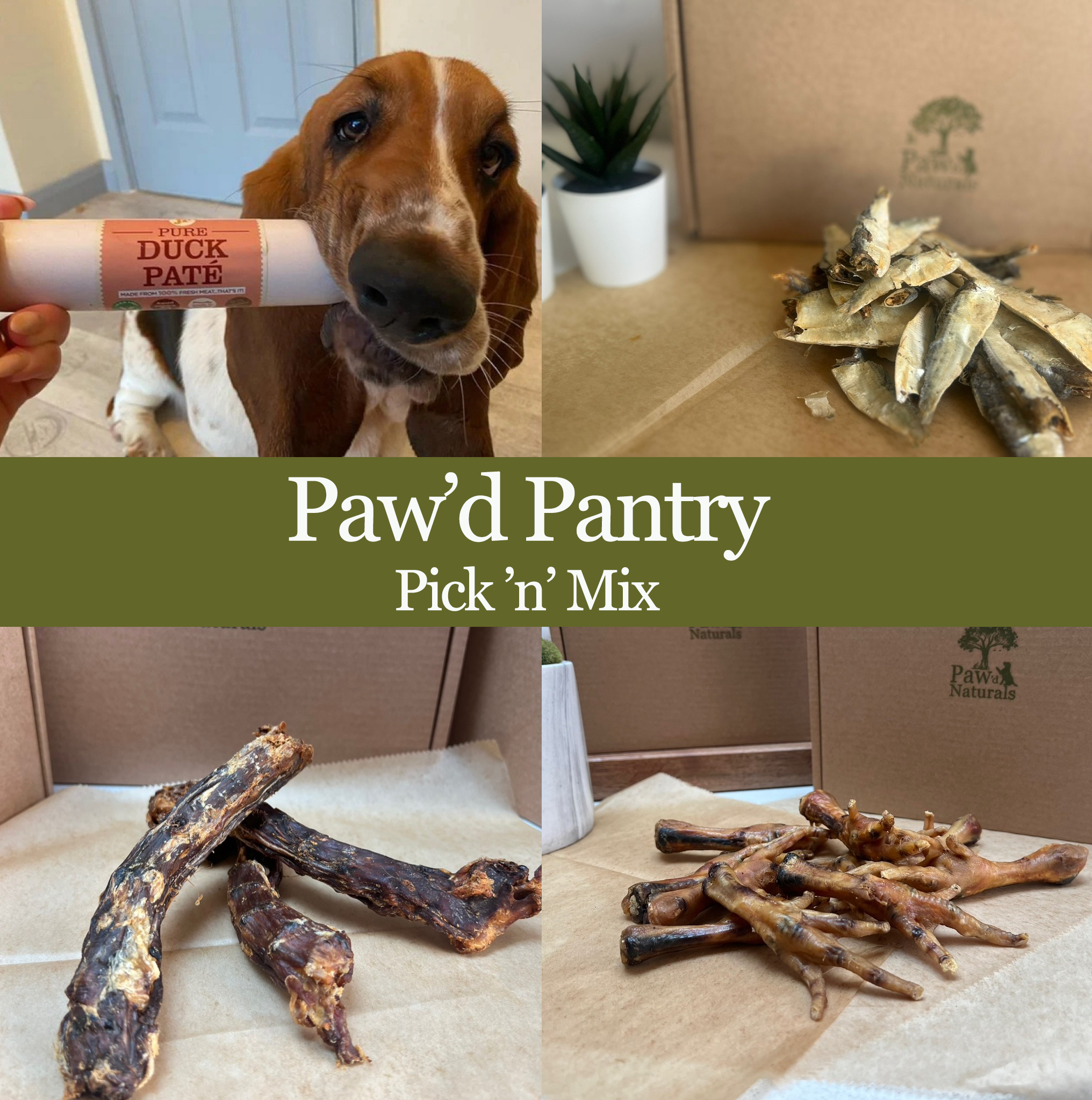 PawdPantry.png