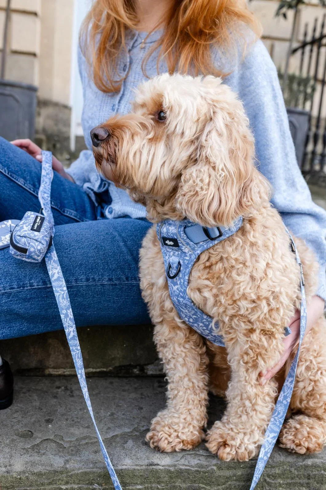 ShepherdsPursePoo1.webp