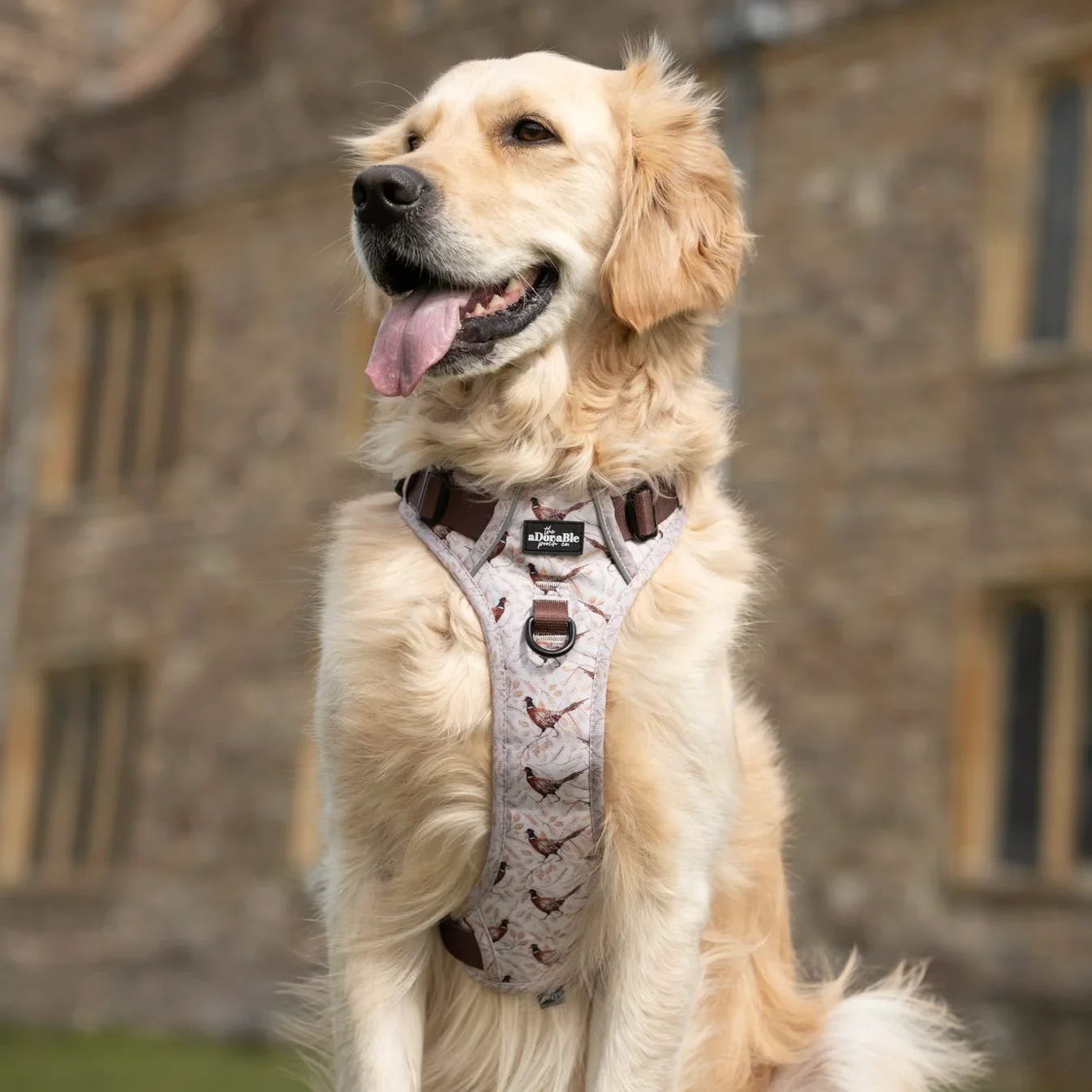 Hike & Go™ Harness – Farmland Pheasant by The aDoraBle Pooch Company