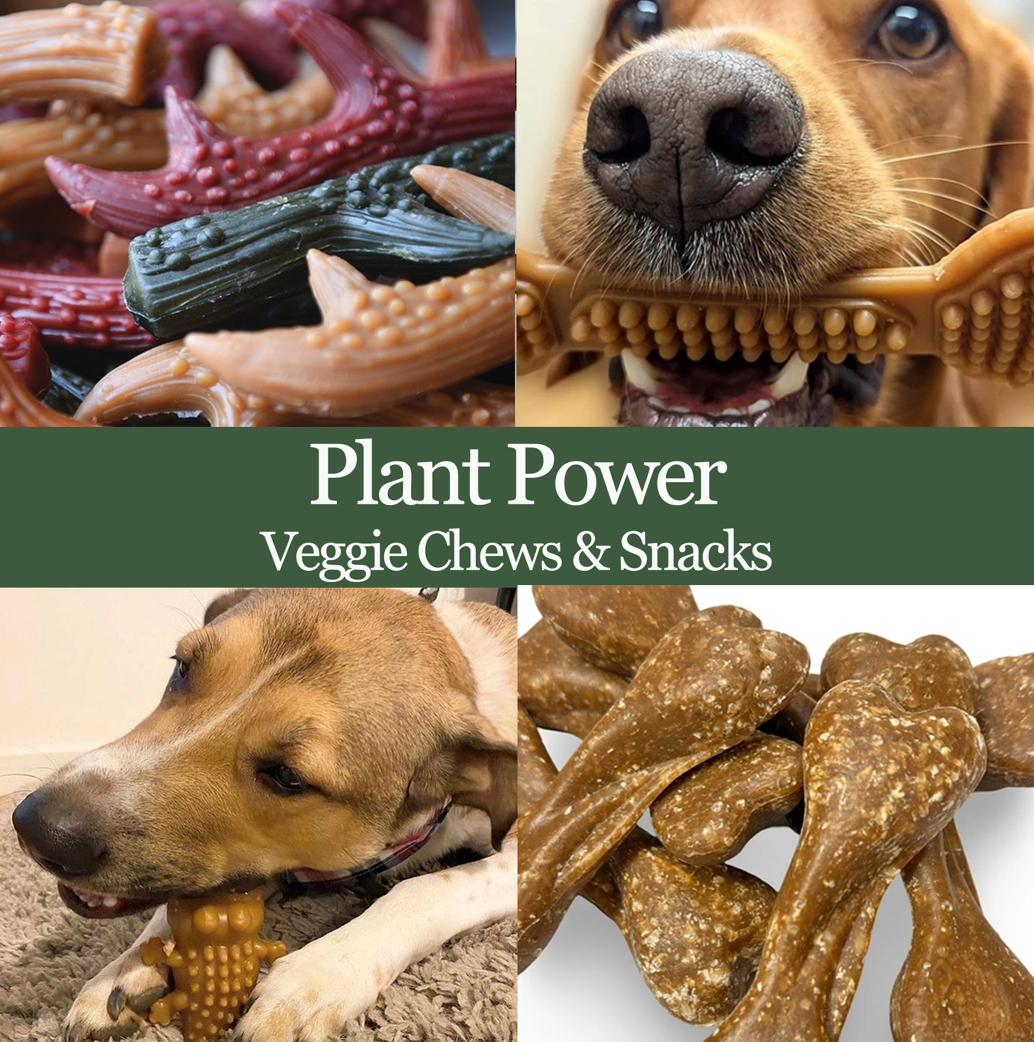 PlantPowerCategory.png