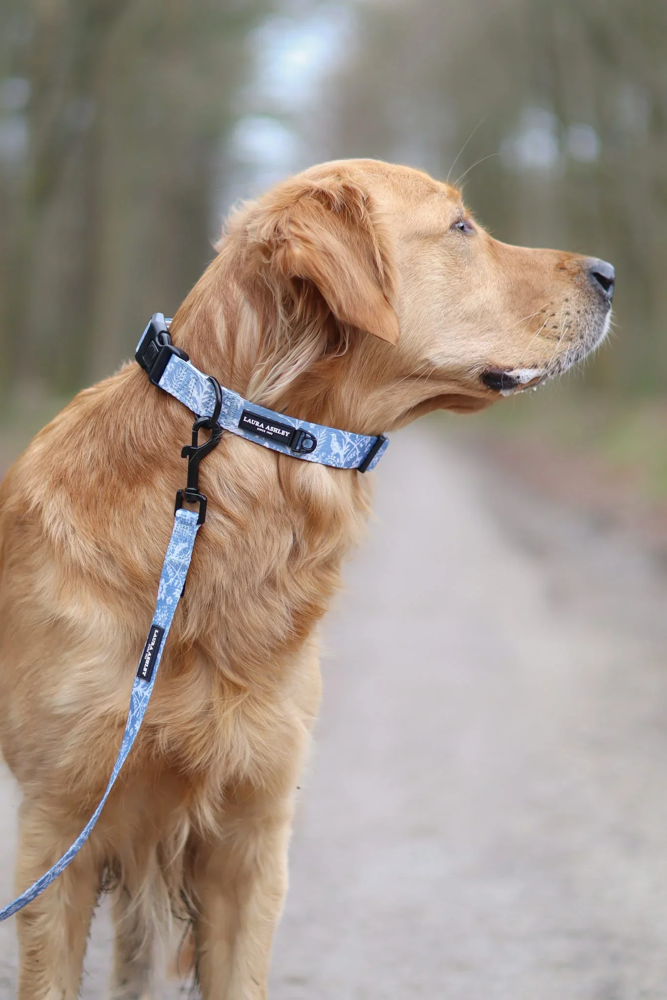 ShepherdsPurseCollarGR.webp