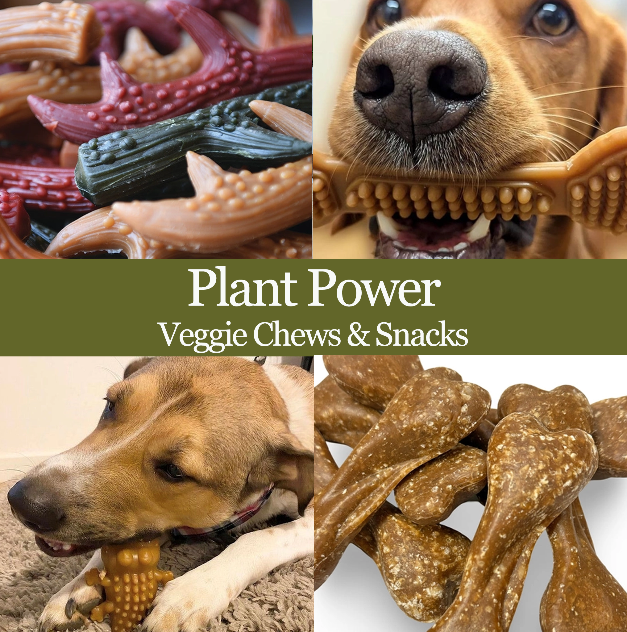 PlantPowerCategory.png