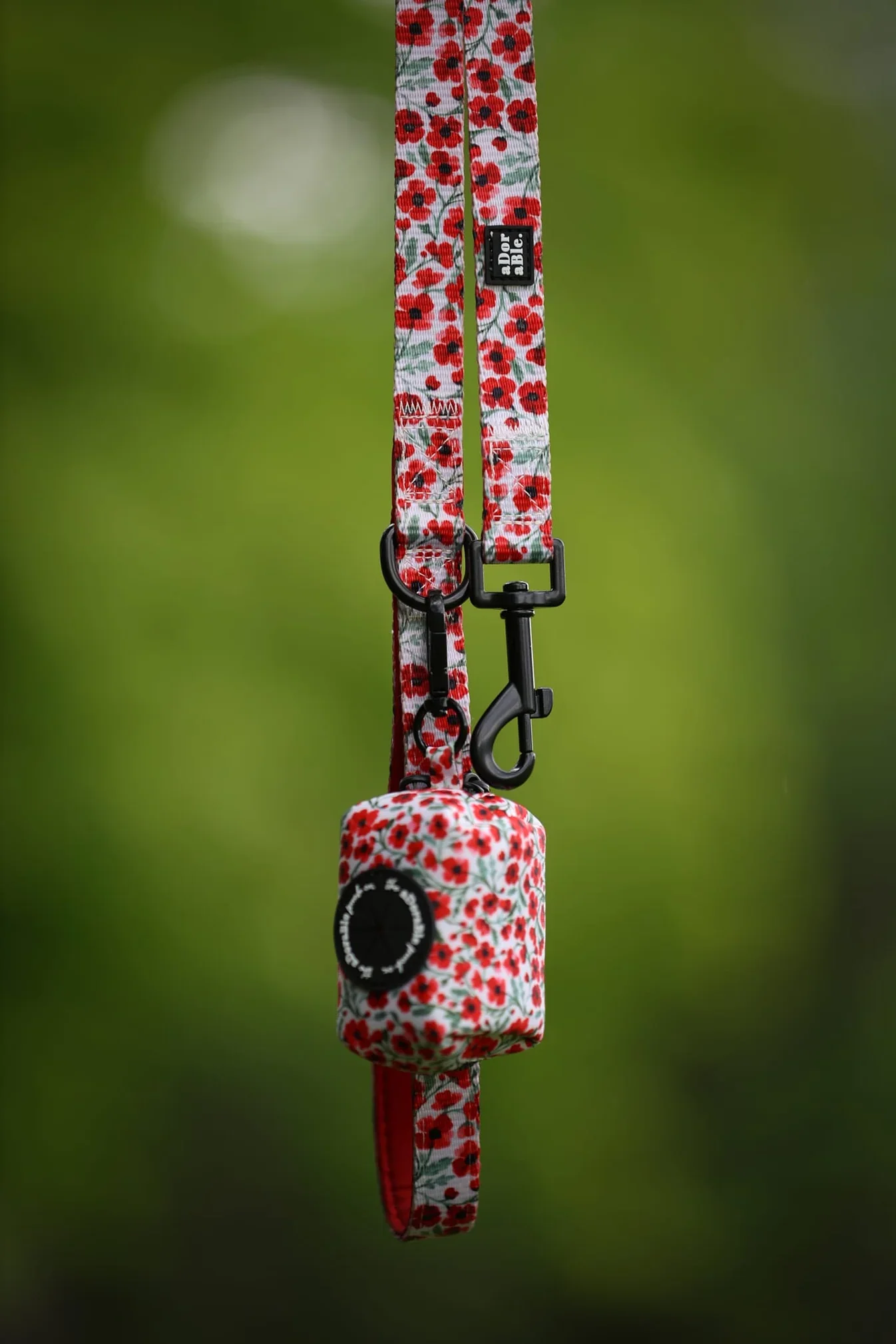 PaintedPoppiesLeadwithPooBag.webp