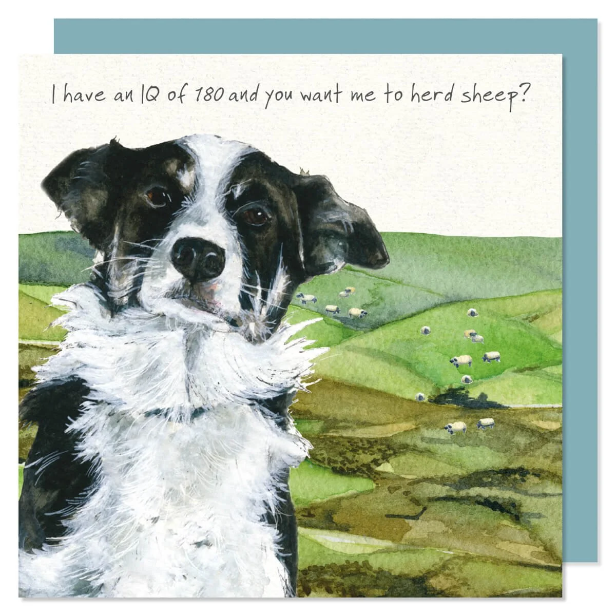 Border Collie “IQ of 180” Greeting Card – By The Little Dog Laugh