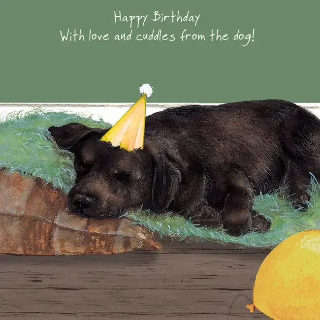 Chocolate Labrador “With Love and Cuddles” Birthday Card – Anna Danielle | The Little Dog Laughed