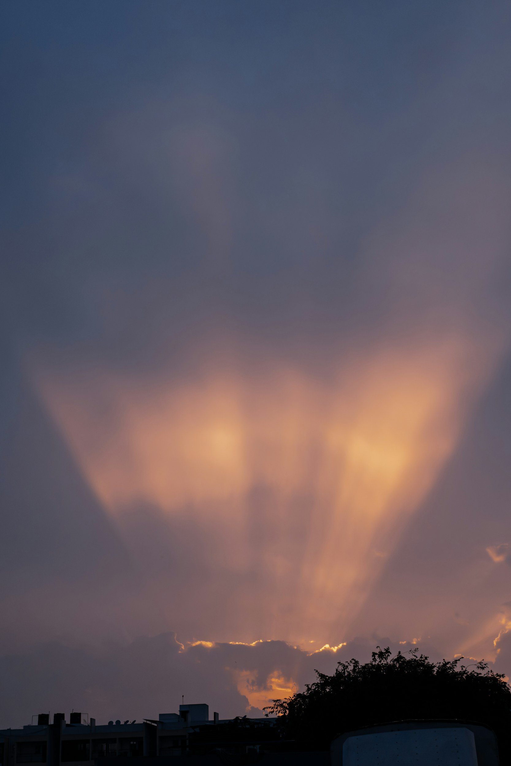 Meeting Emily: A Guide Who Brings Clarity and Trust