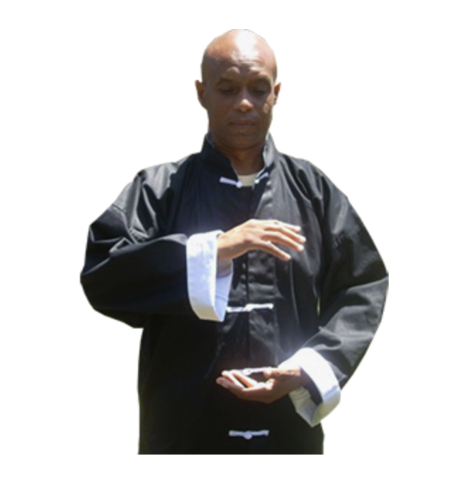 Grounded Presence: Learning Qigong with Adit Panton