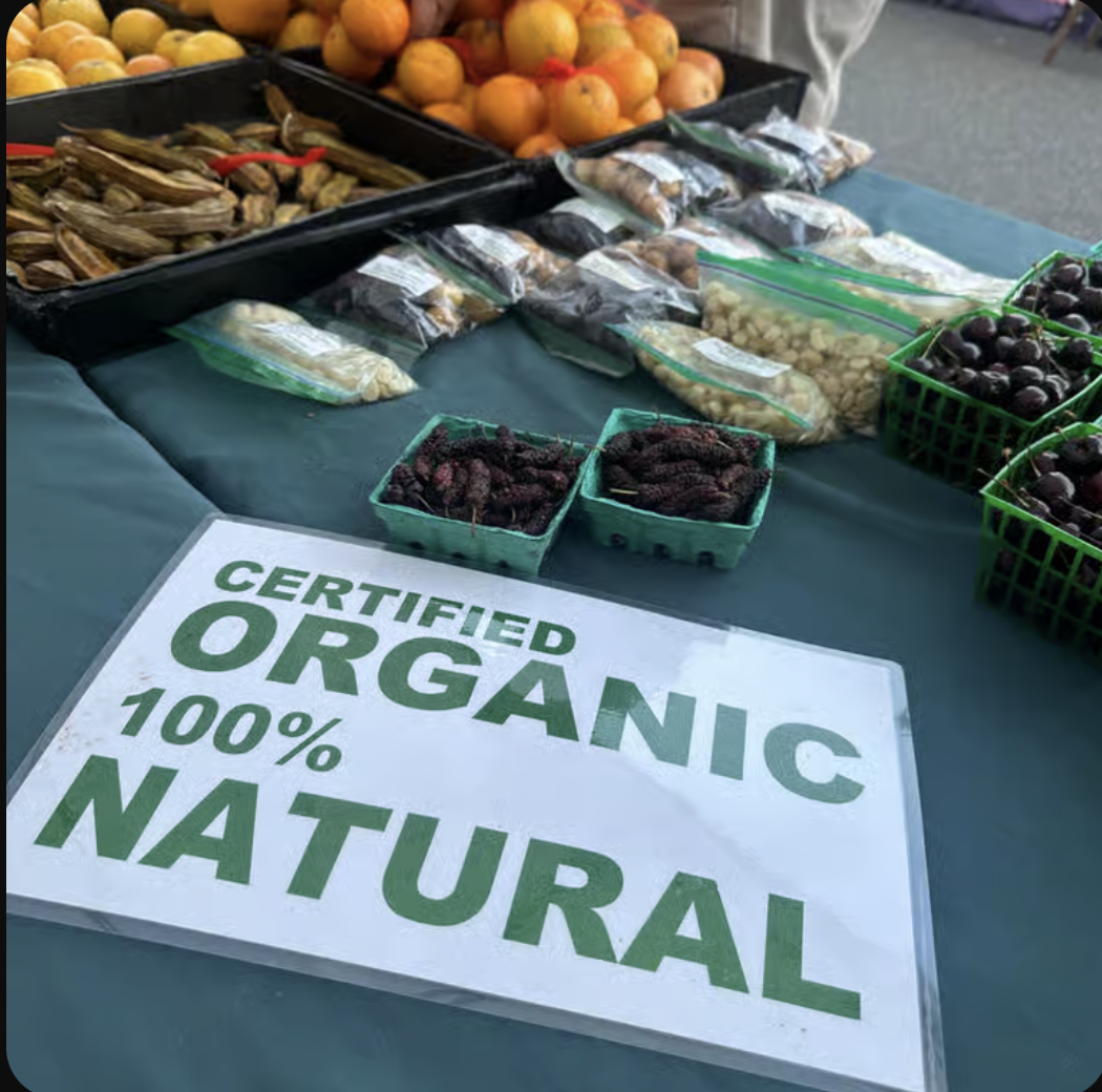 Watching Native Fields Grow: A Love Letter to a Local Gem