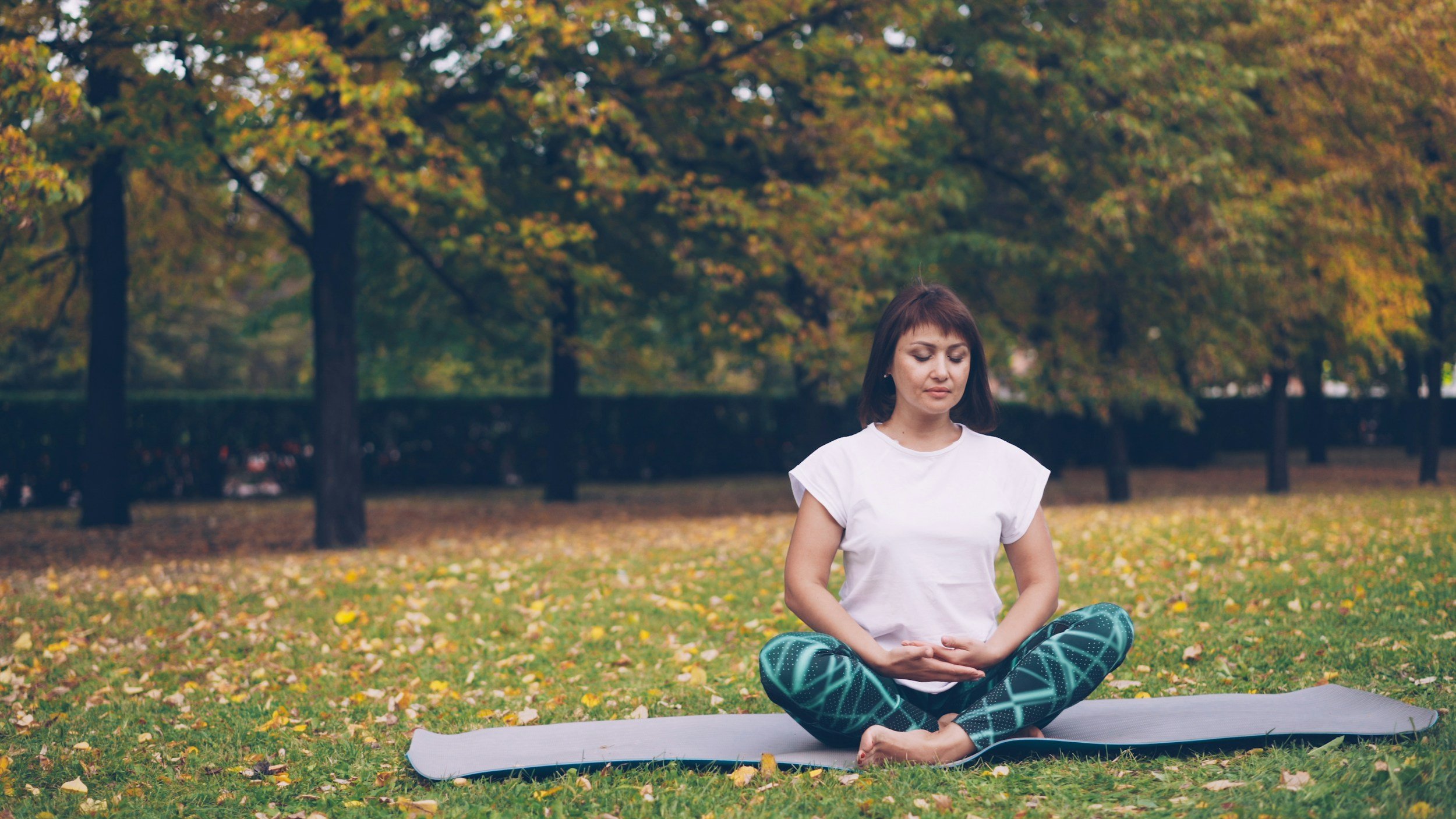 Why Do We Place the Tongue on the Roof of the Mouth in Qigong?