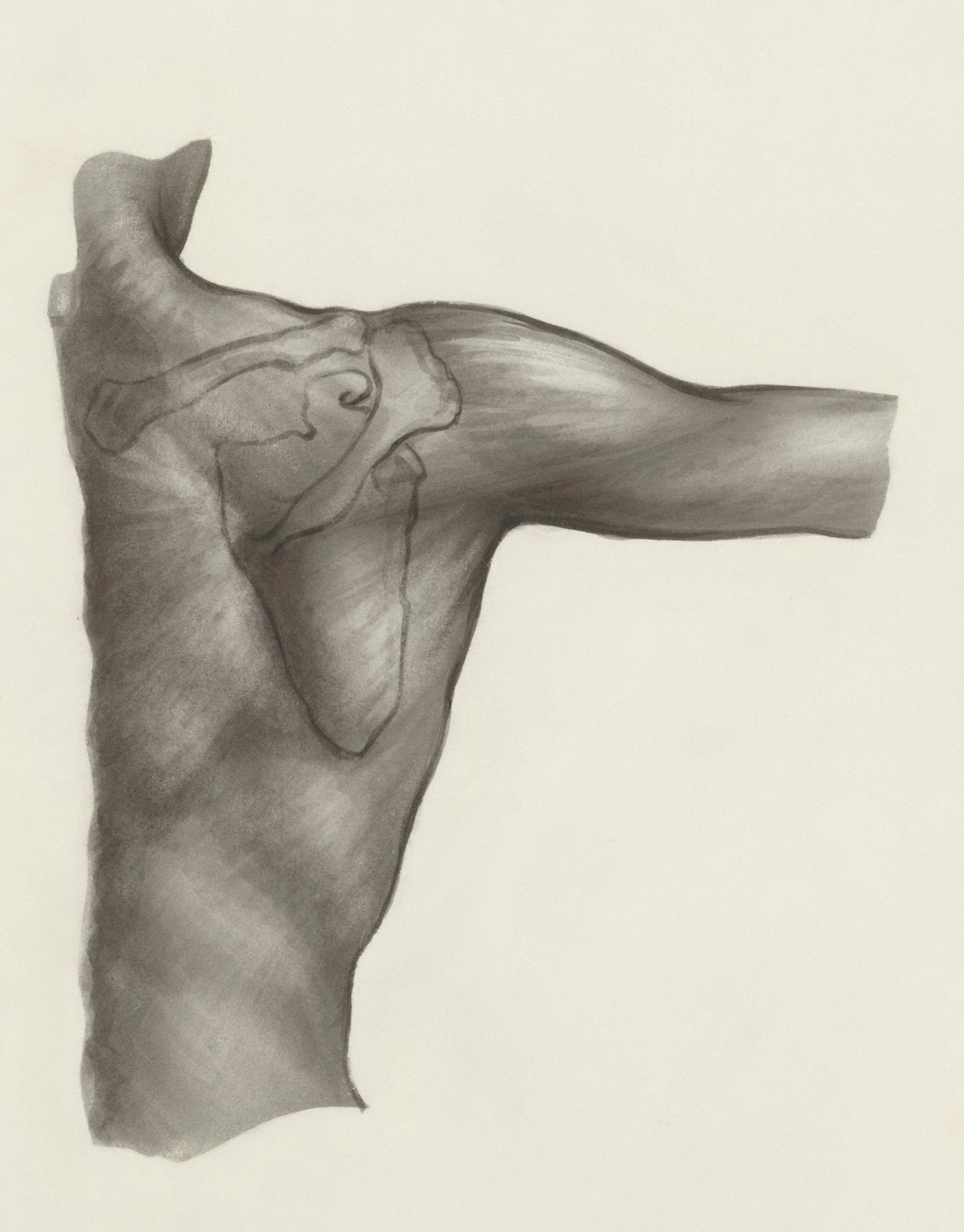 What My Frozen Shoulder Taught Me About the Six Functions of Qi