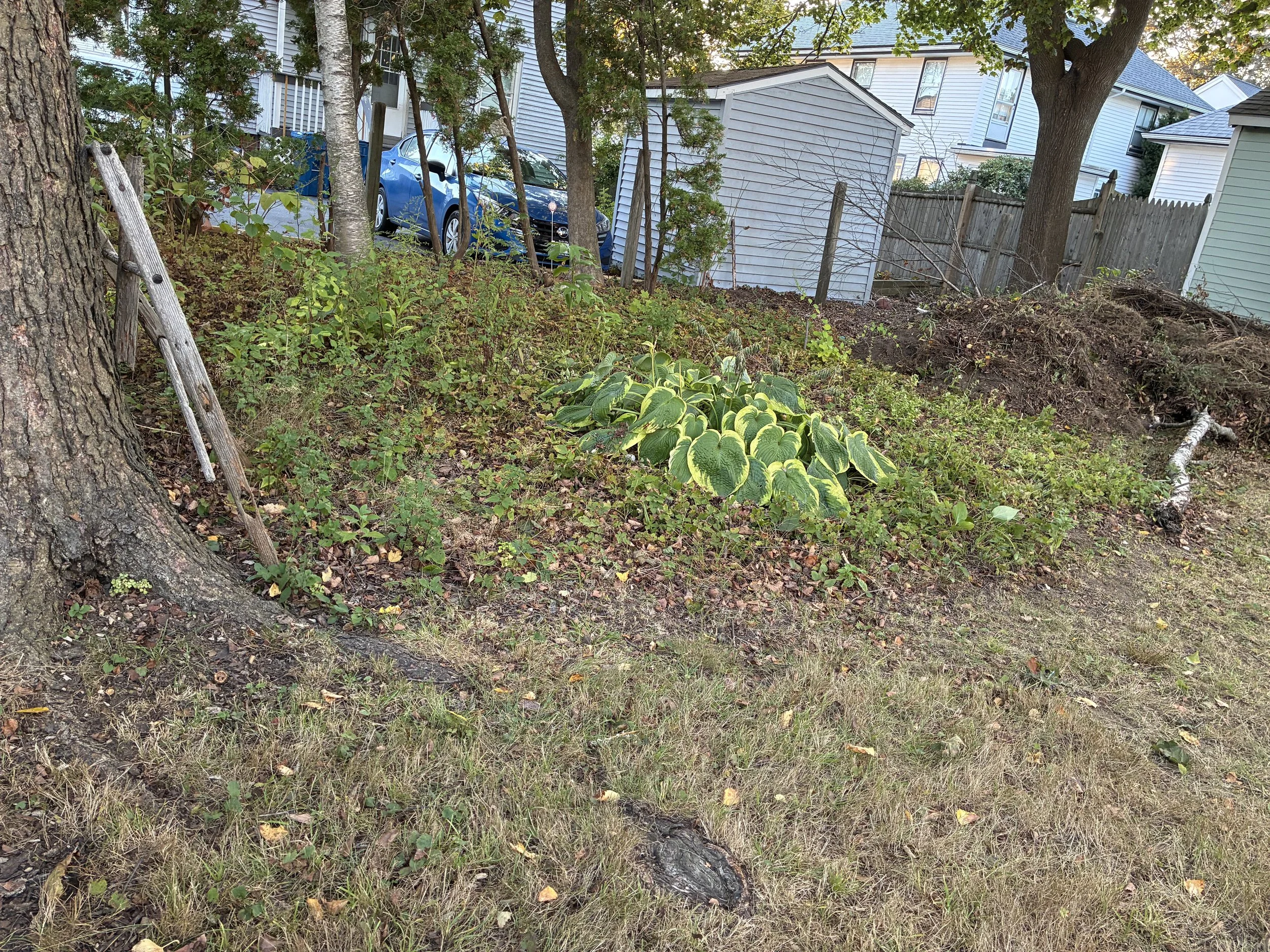 IMG_0558.jpeg
