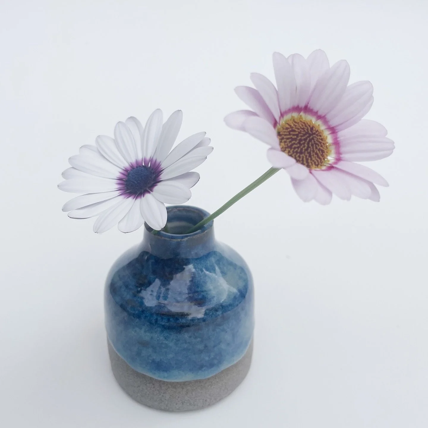 Bud vases fresh out the kiln 🌿🌸
.

.
.
.
#flowers #spring #budvase #gardenflowers