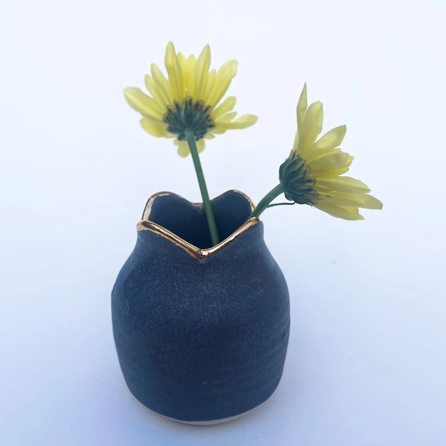 Slight change of pace from the pinks and light blues. 
.
.
.
.
#clay #ceramics #pottery #potterylove #vase #flowers #spring #garden