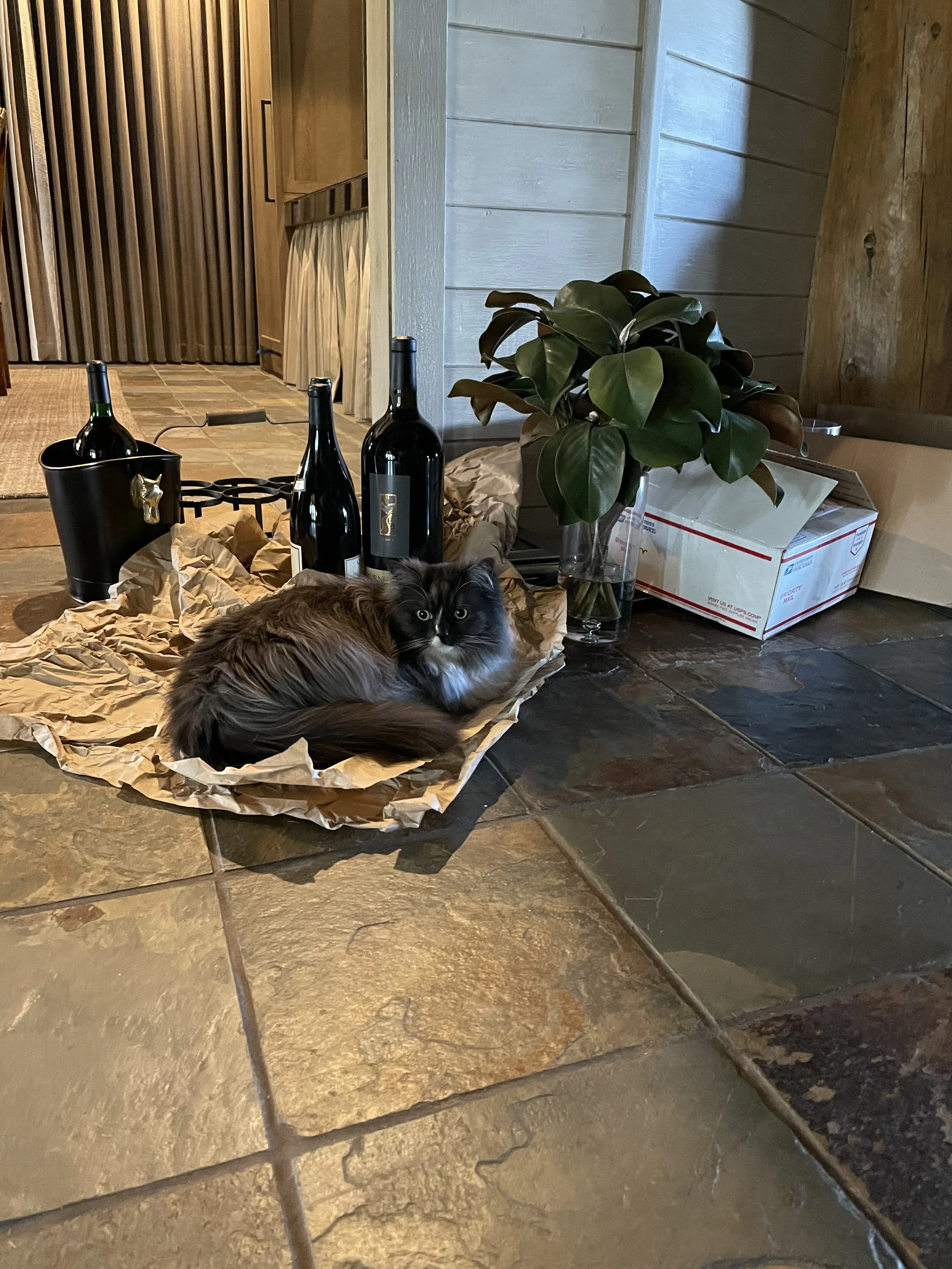 IMG_8696.jpeg