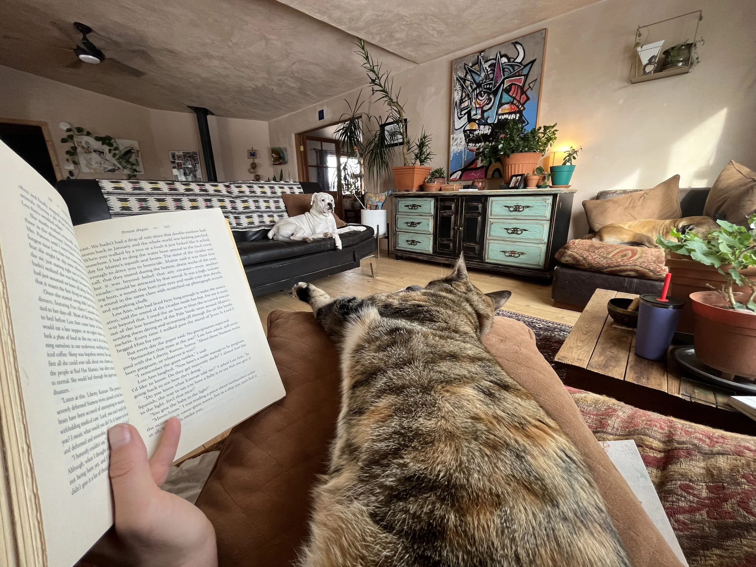 Dec 21st, 2023 - Jan 5th, 2024