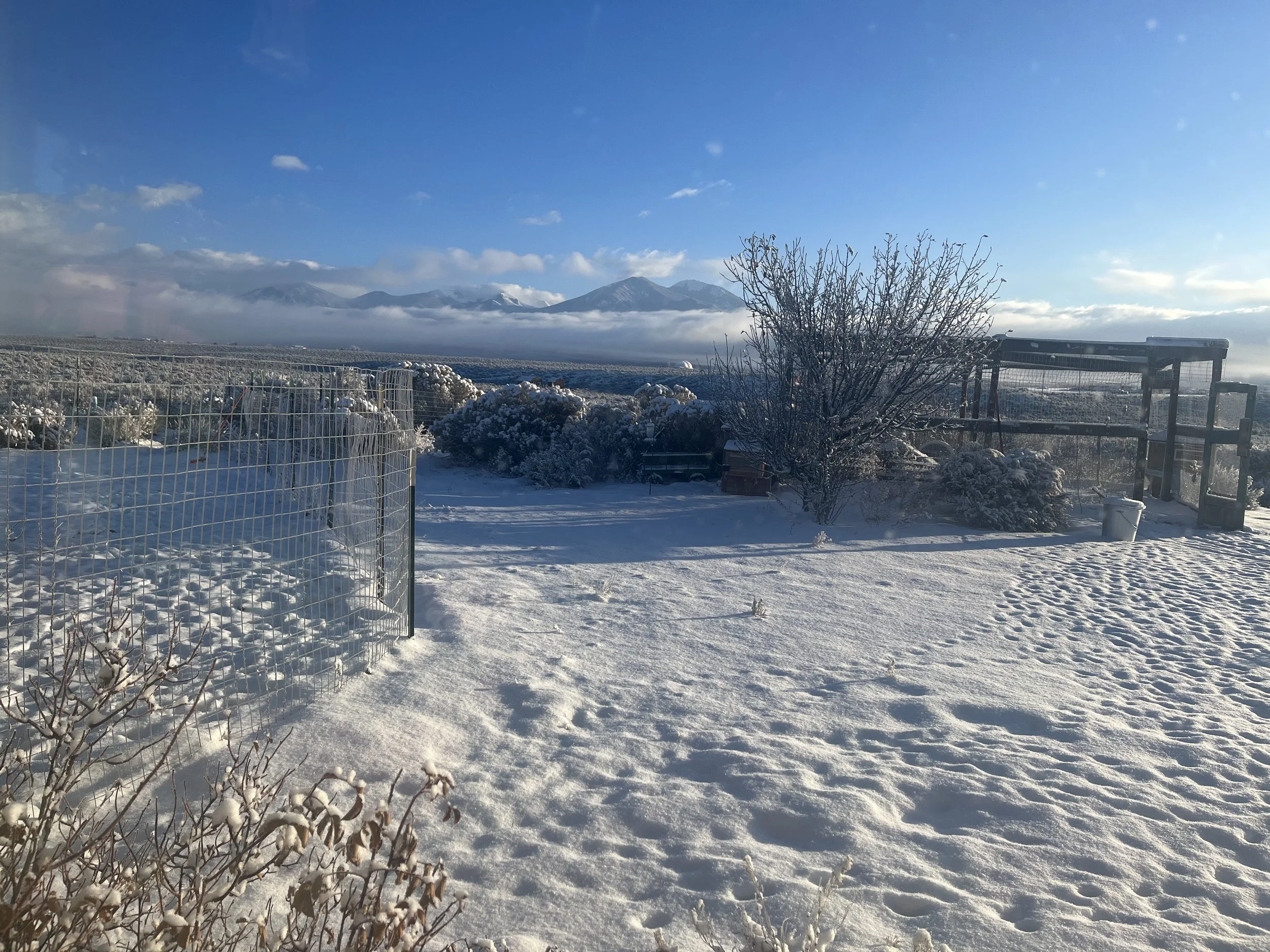 IMG_4499.jpeg