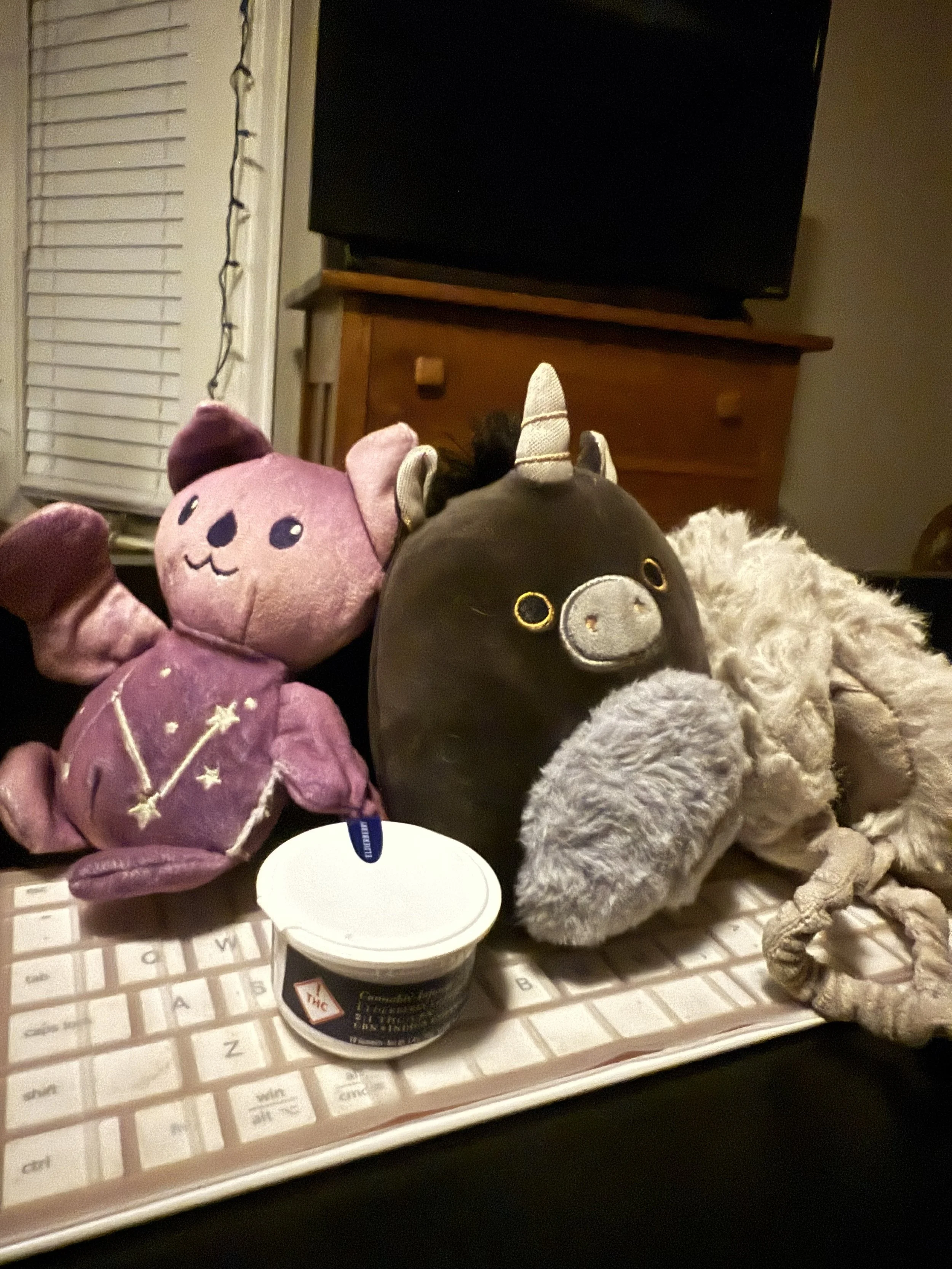 IMG_0610.jpeg