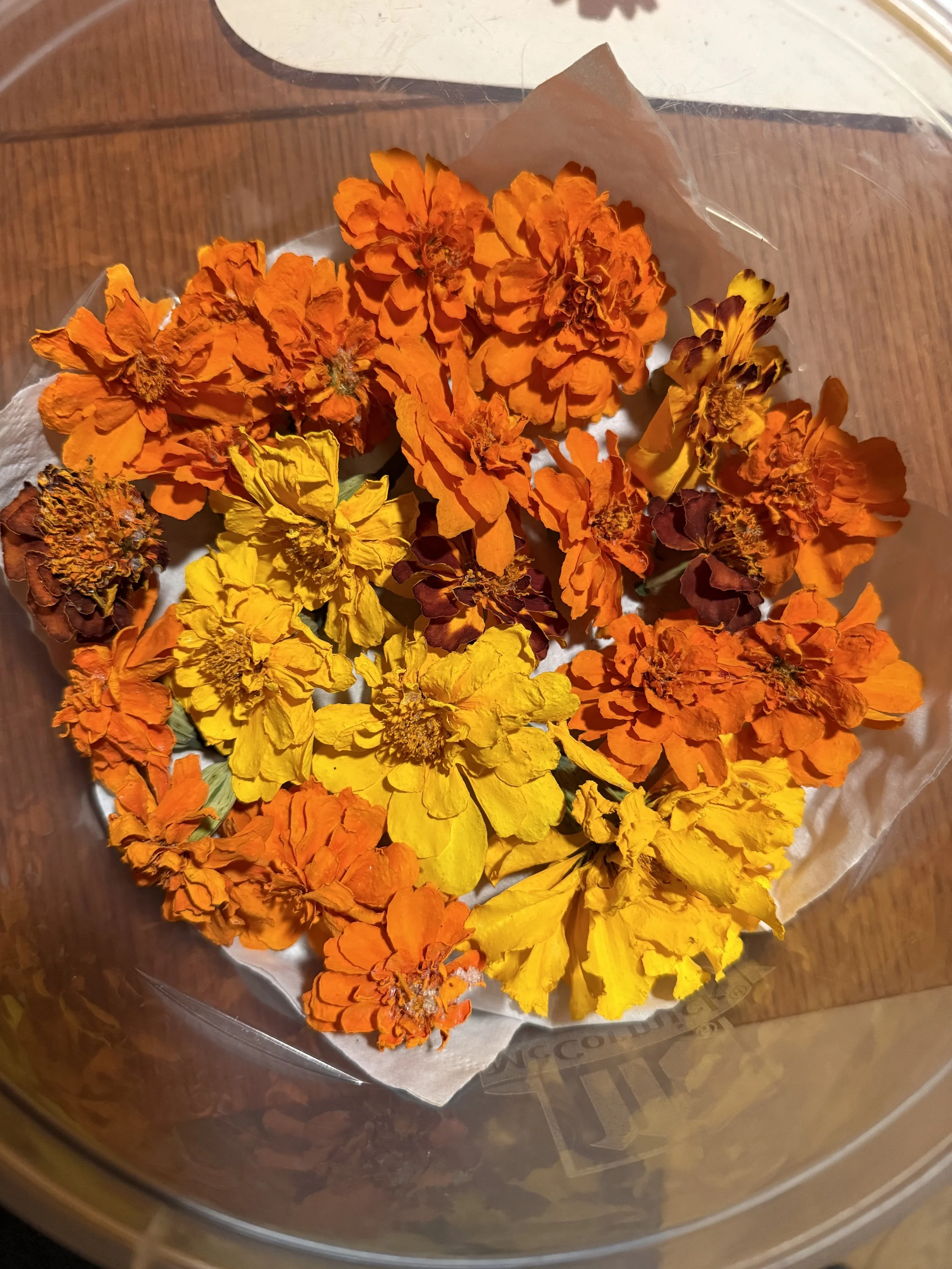 IMG_1111.jpeg