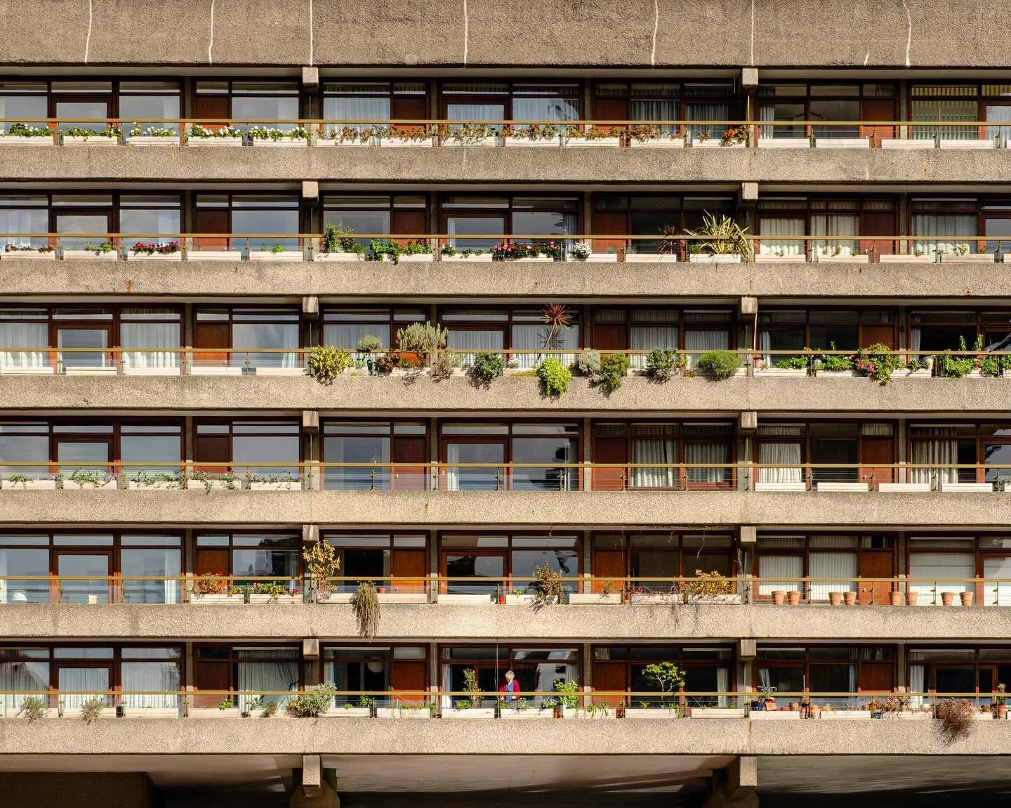 Barbican in the sun.

Spent the day exploring with @evelynclliao, where I had so much fun playing with abstract foreground elements to add a little bit of natural chaos &amp; colour to the orderly brutalist architecture of the Barbican. In fact, it&r