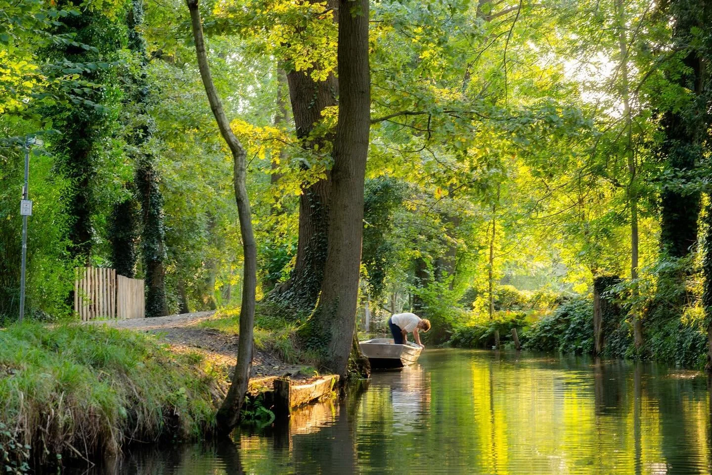 views from a kayak in the spreewald&hellip; 

only an hour train journey from Berlin to immerse yourself in these mesmerising and magical reflections on the water whilst you recover from a weekend of partying ✨🥹