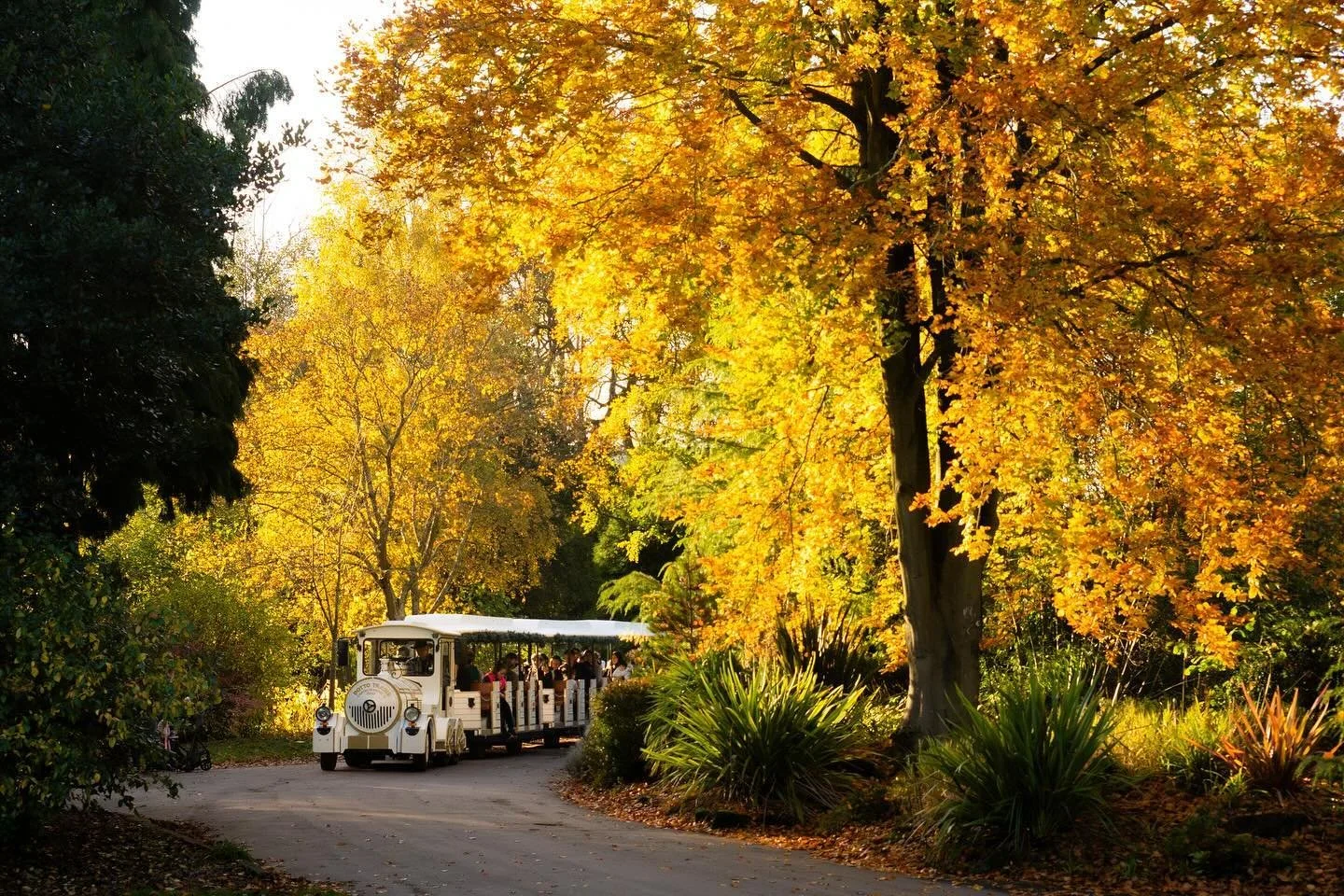 life around the lake

// captured on the last @brumstills photowalk