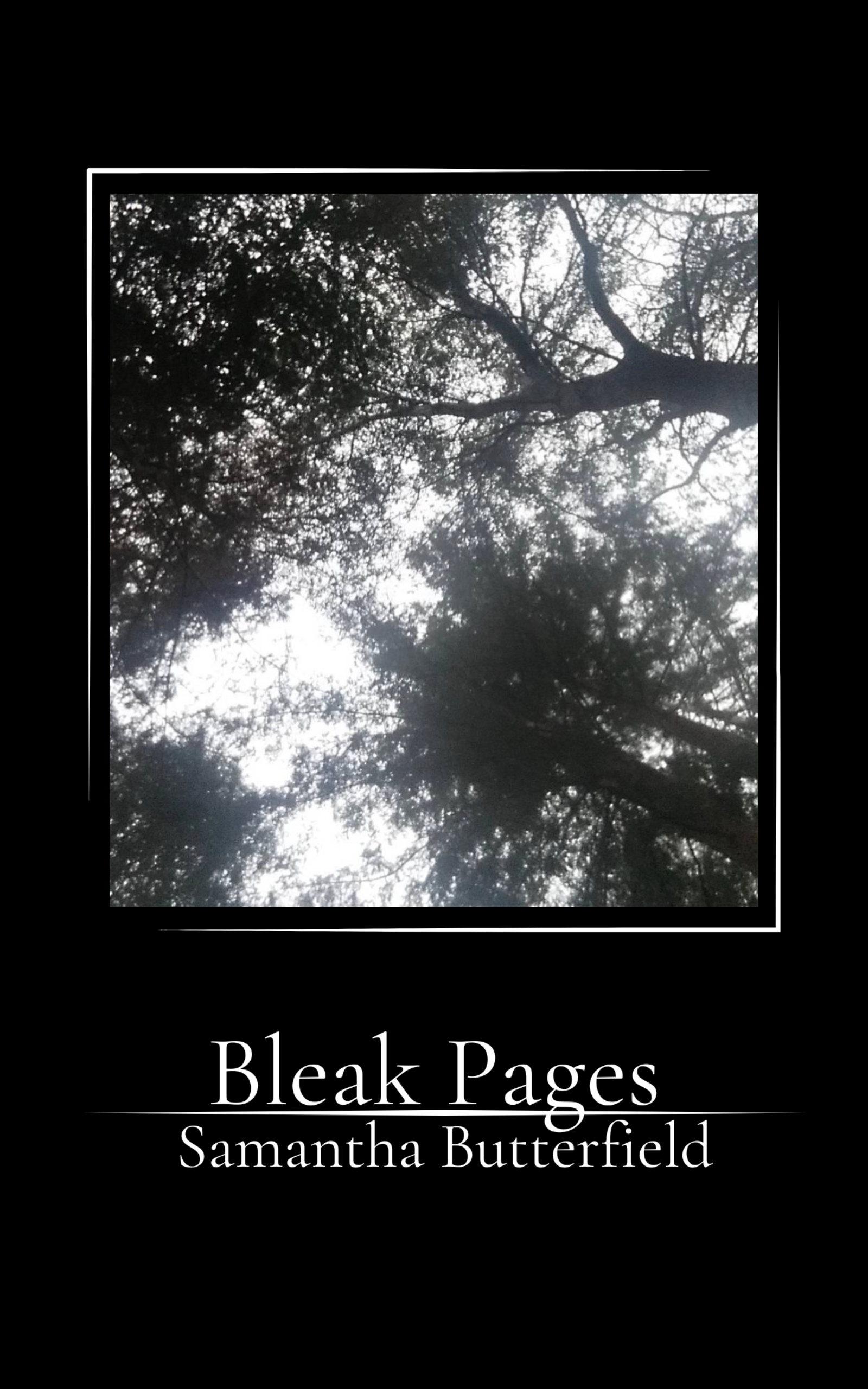 POETRY COLLECTION COVERS-2.png