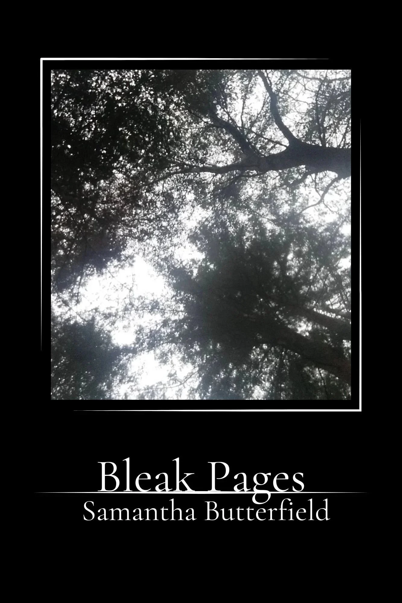 bleak+pages+black+ebook.jpg