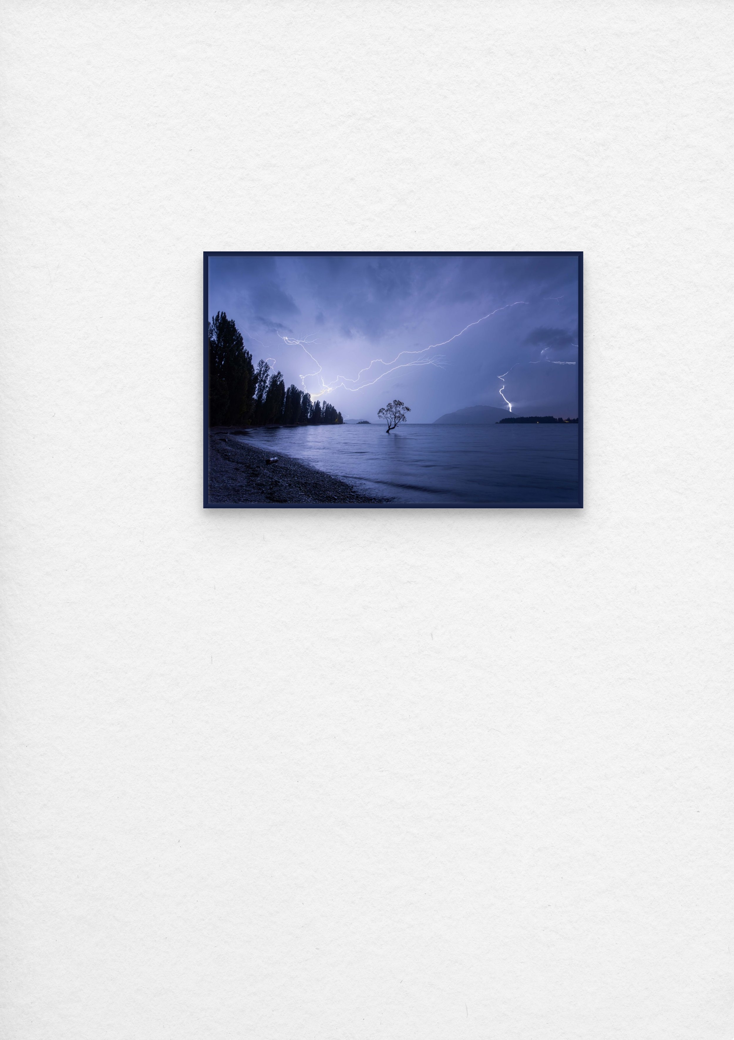 wanaka tree lighting-full.jpg