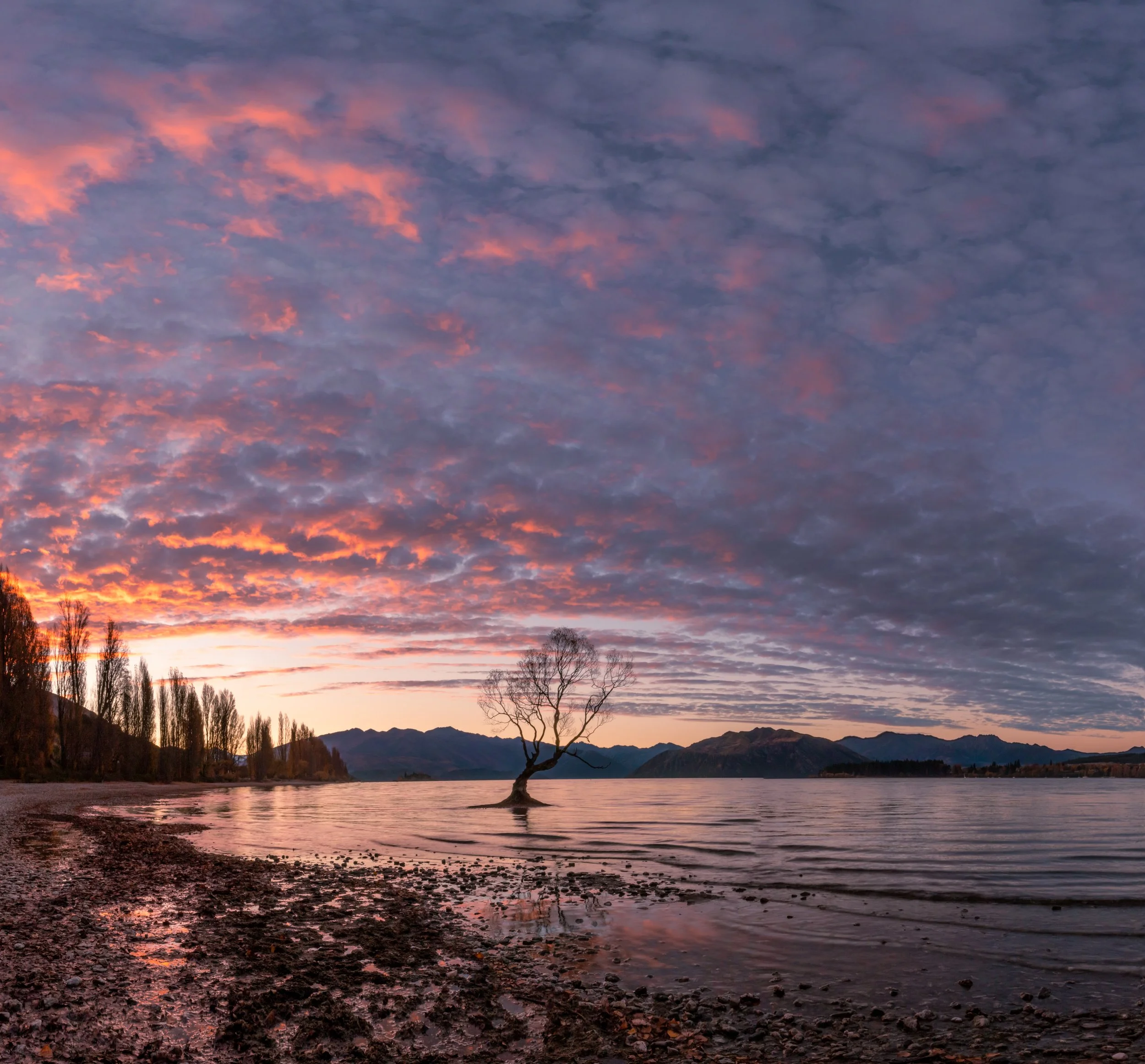 Southern Skies Aflame