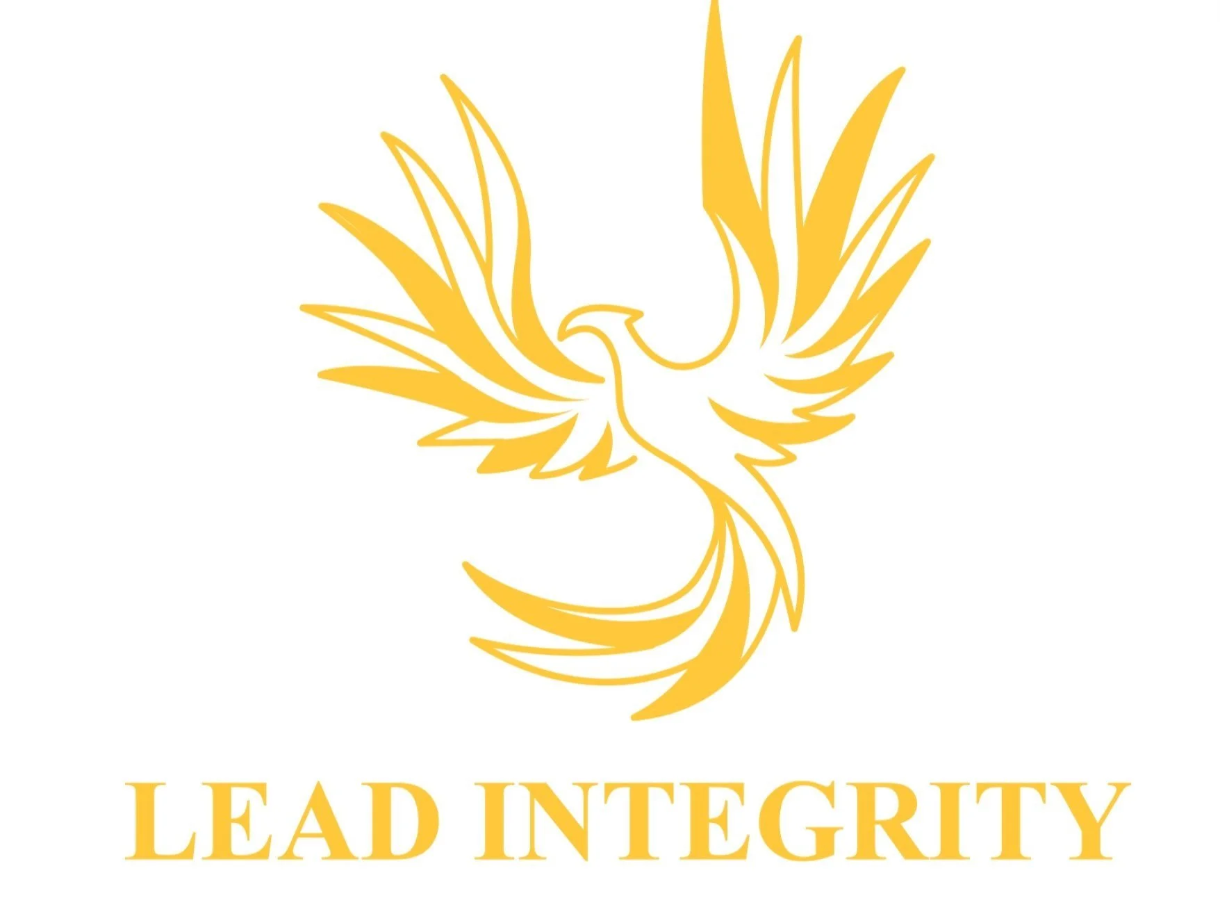 Who we are — Lead Integrity