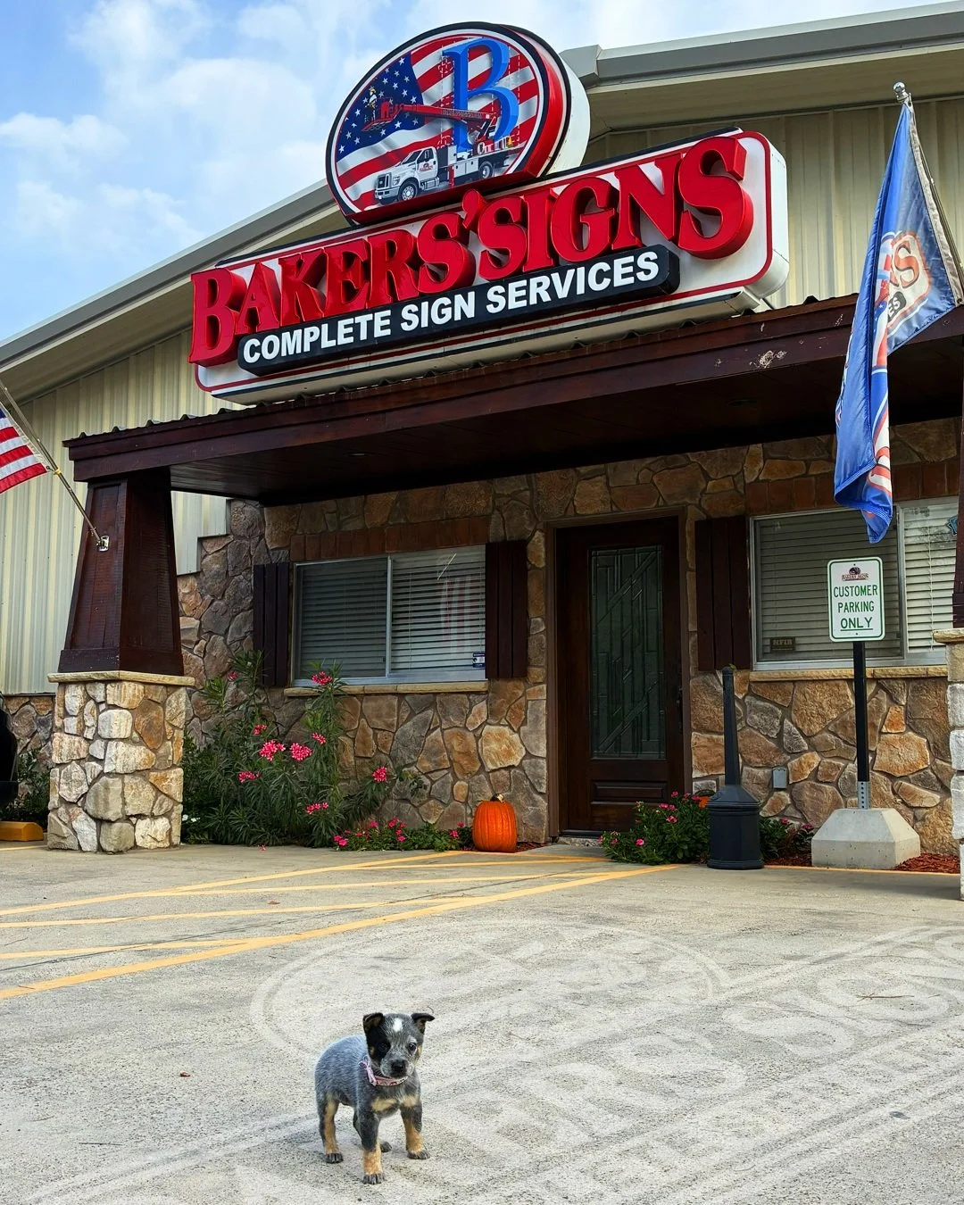 Meet the newest member at our shop!

She&rsquo;s still a little puppy, but we have a feeling she&rsquo;ll grow up to love life around the Bakers&rsquo; Signs just as much as we do!

Around here, we love our dogs, and this little girl is already steal