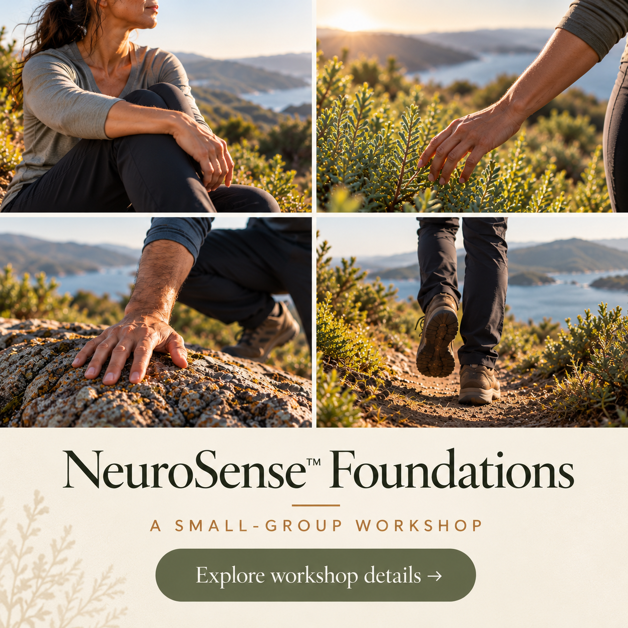 NeuroSense Foundations Workshop Banner.png