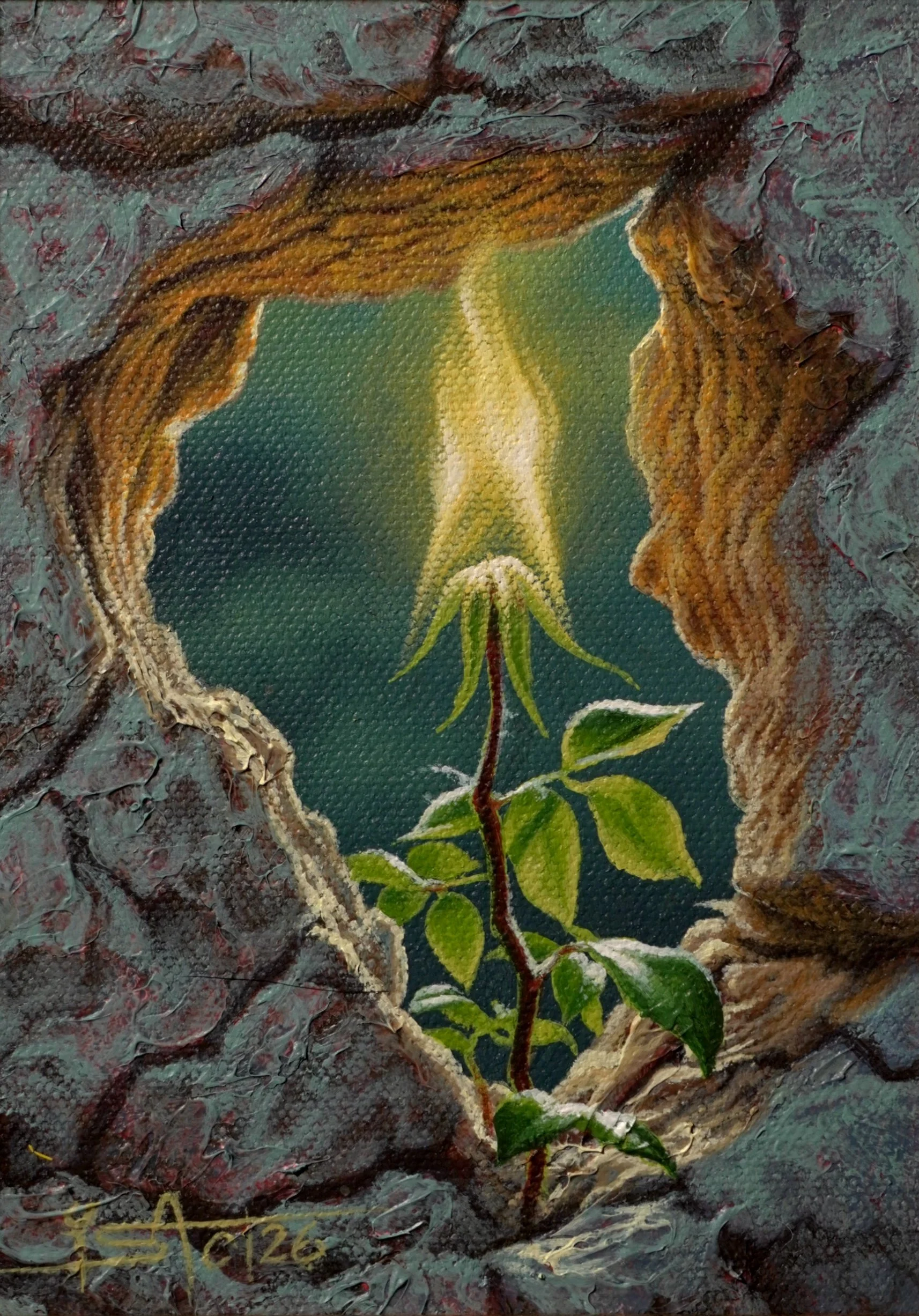 Untitled_Artwork (6).JPG