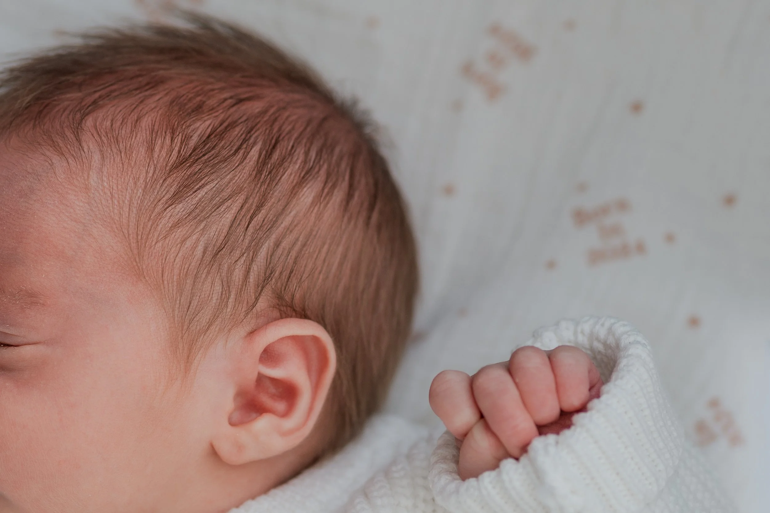 The Malligans-18.jpg