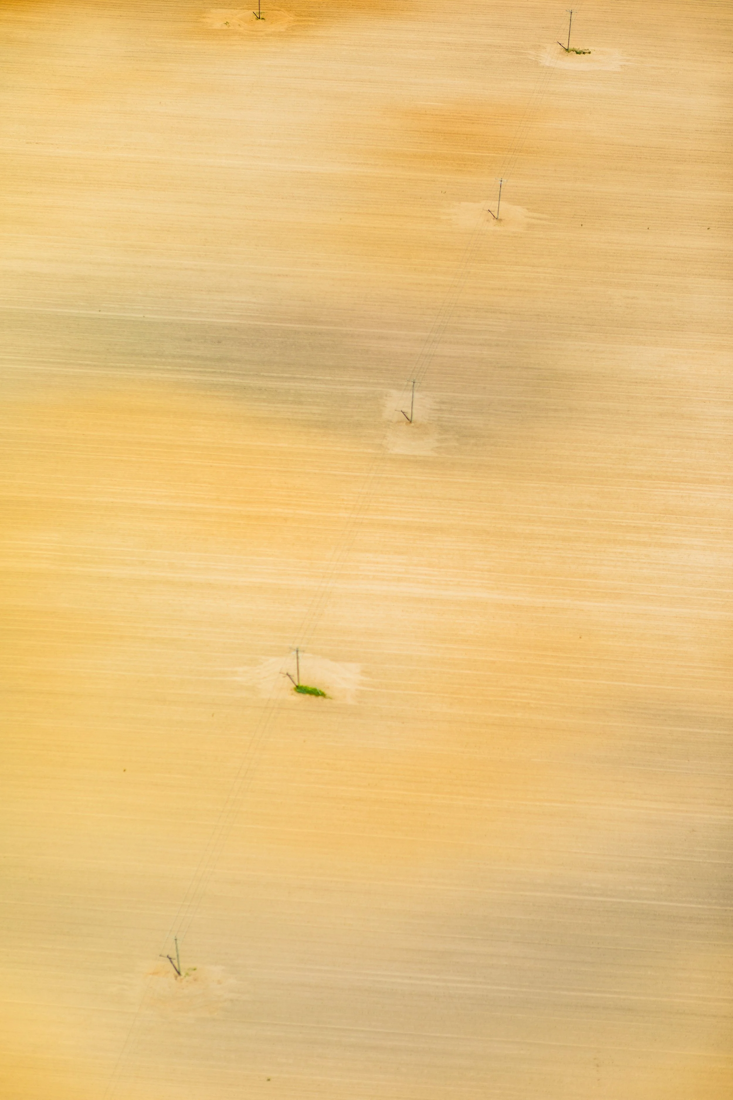 20190527-1X3A8375.jpg