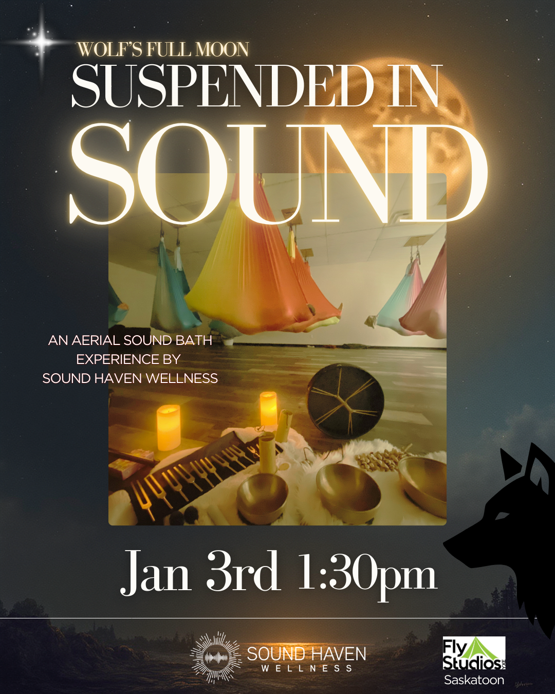 Suspended in Sound - Sold Out